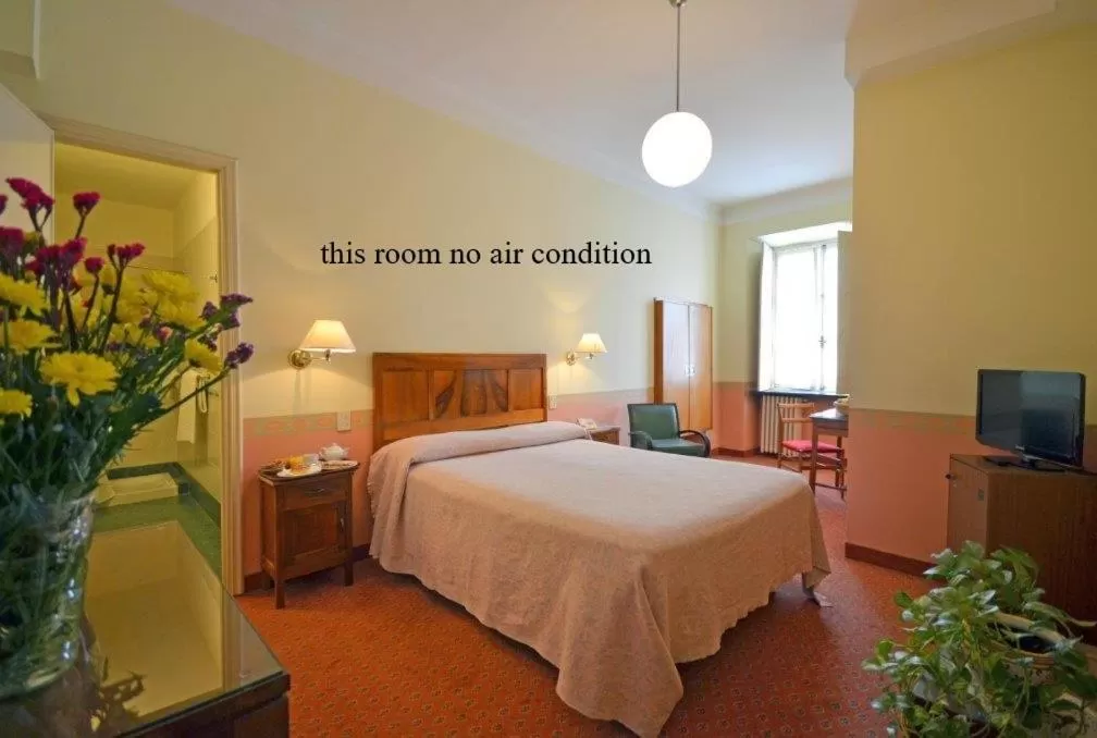 Basic Double or Twin Room in Hotel Roma e Rocca Cavour