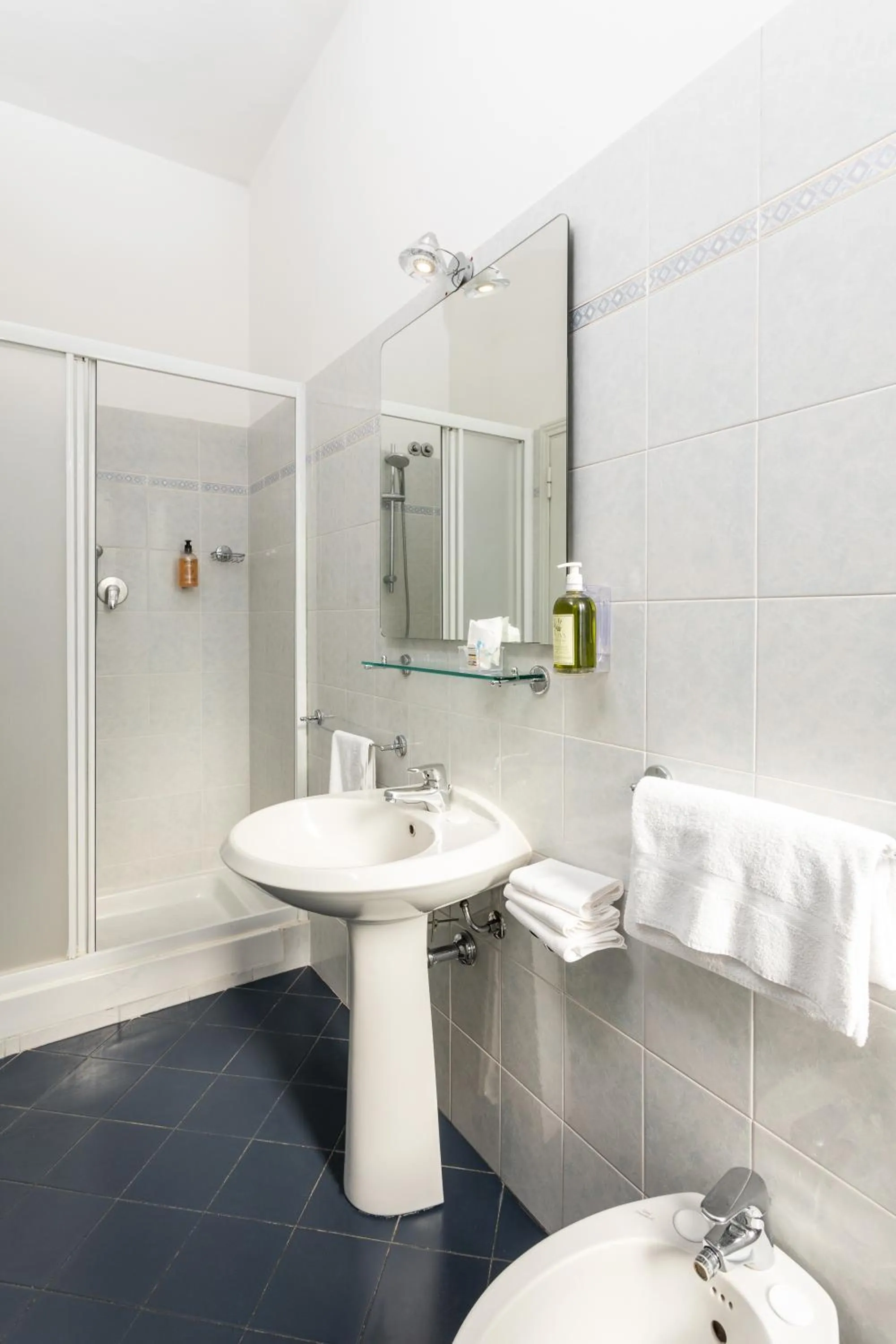 Standard Double Room with City View in Hotel Minerva