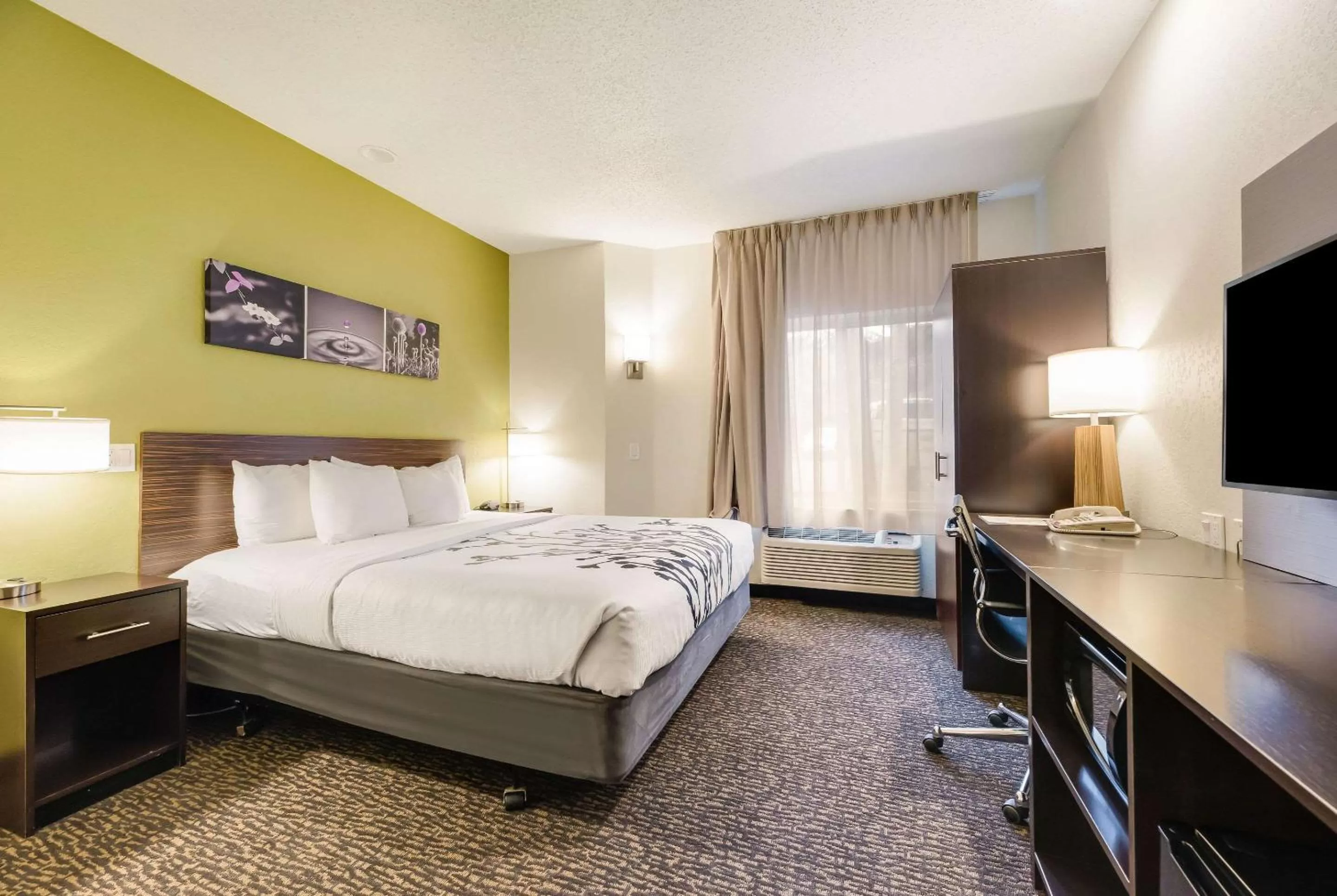 King Room First Floor - Accessible/Non-Smoking in Sleep Inn Flagstaff