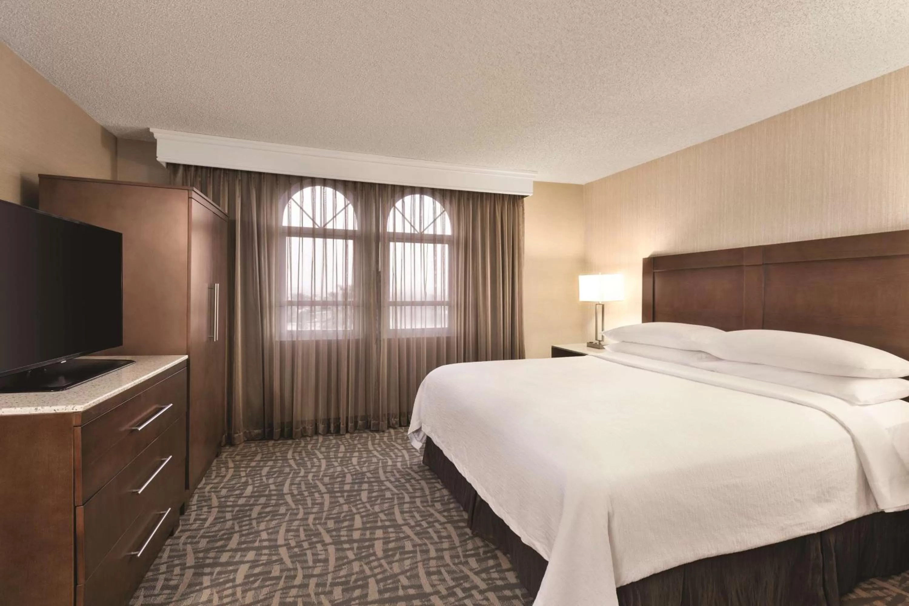 One-Bedroom King Suite with Roll-In Shower - Mobility Access/Non-Smoking in Embassy Suites by Hilton Santa Ana Orange County Airport