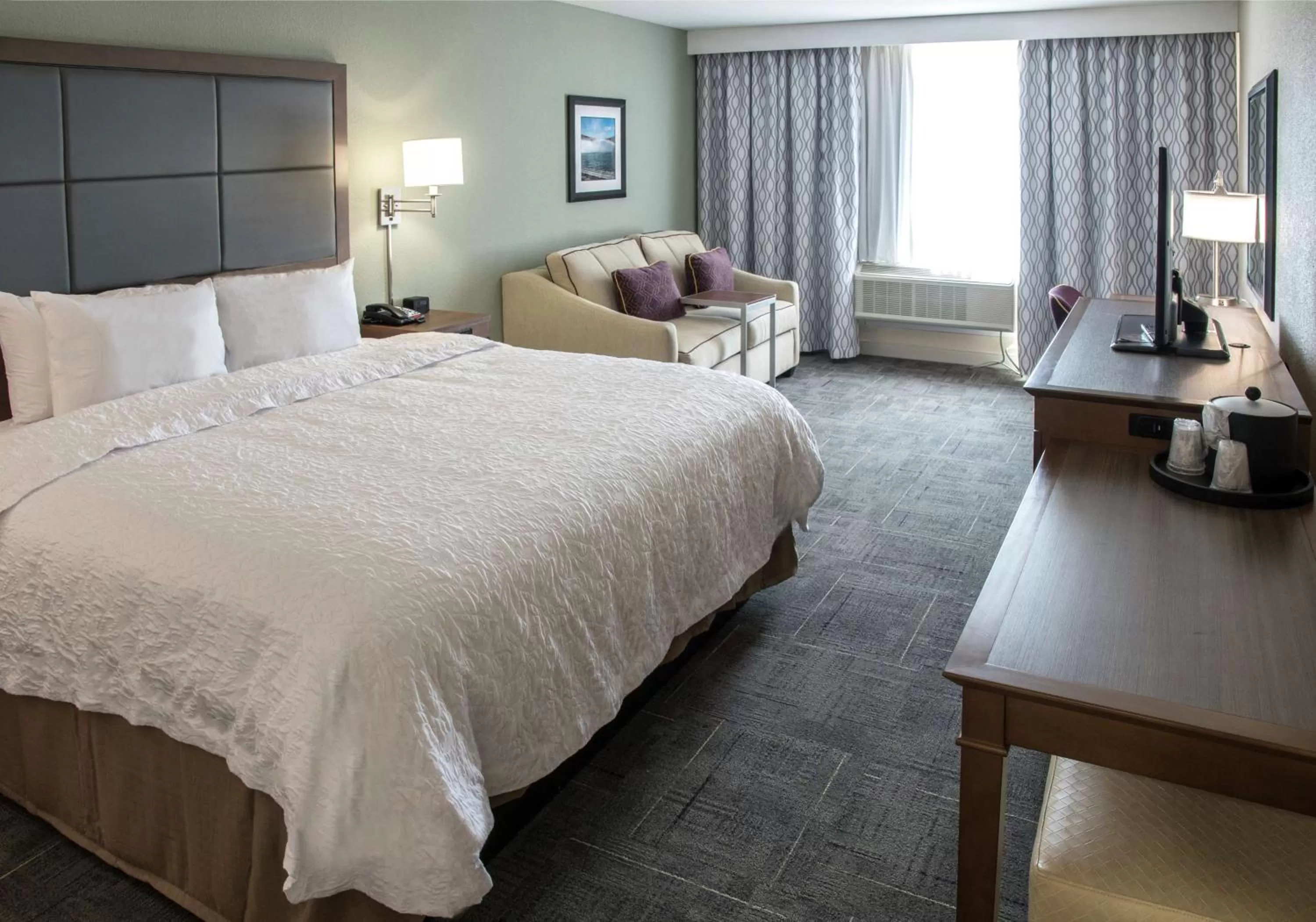 King Room with Sofa Bed - Hearing Accessible/Non-Smoking in Hampton Inn Hartwell Ga