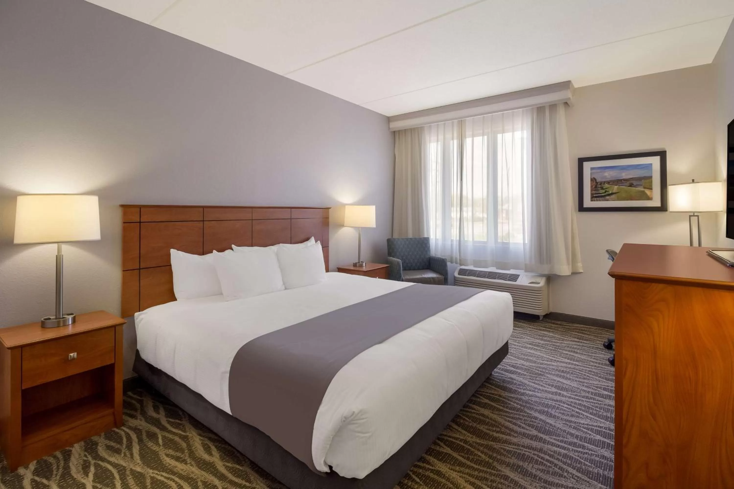 King Room with Roll-In Shower - Disability Access in Best Western Lock Haven