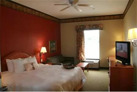 King Room with King Bed - Non-Smoking in Hampton Inn Laplace