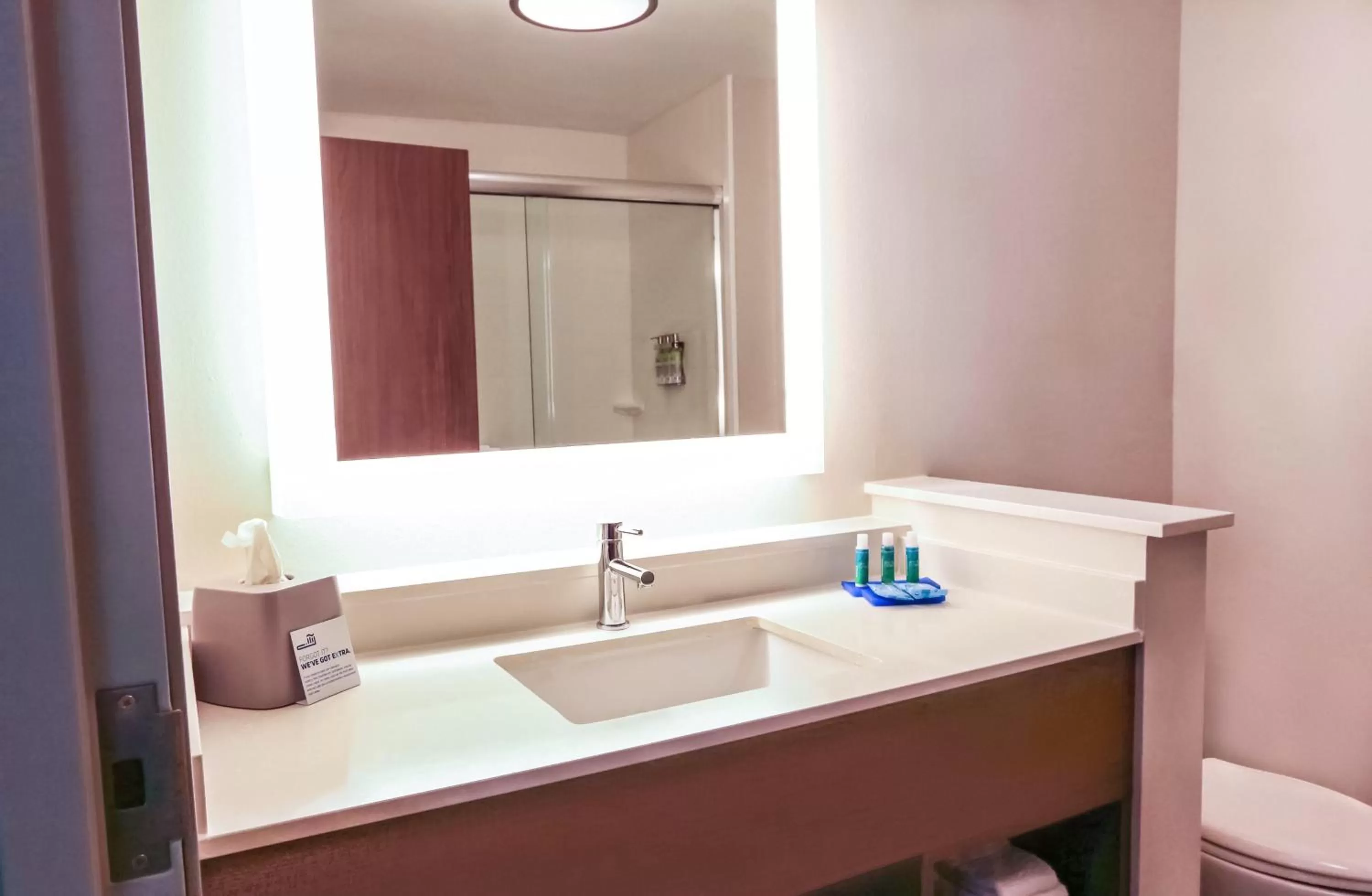 Standard King Room in Holiday Inn Express & Suites - Houston IAH - Beltway 8 by IHG