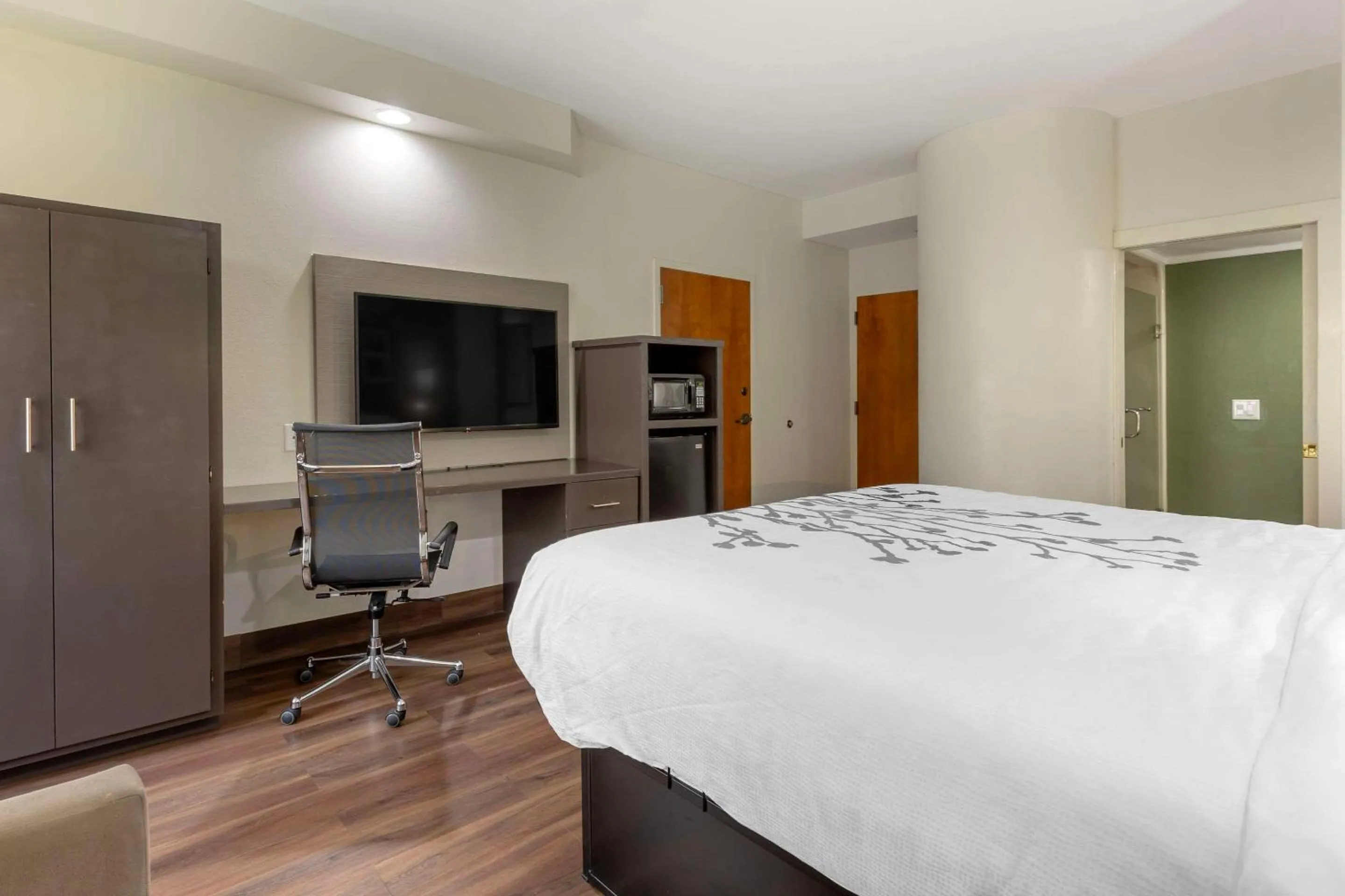 King Room - Non-Smoking in Sleep Inn