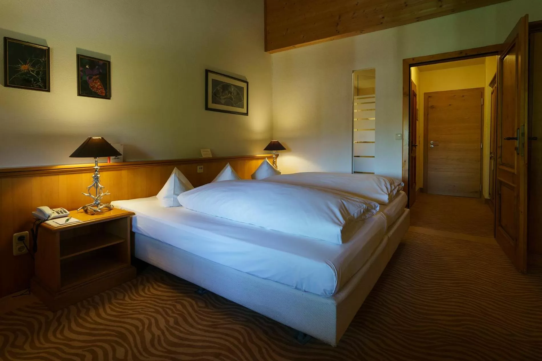 Double Room - single occupancy in Parkhotel am Soier See