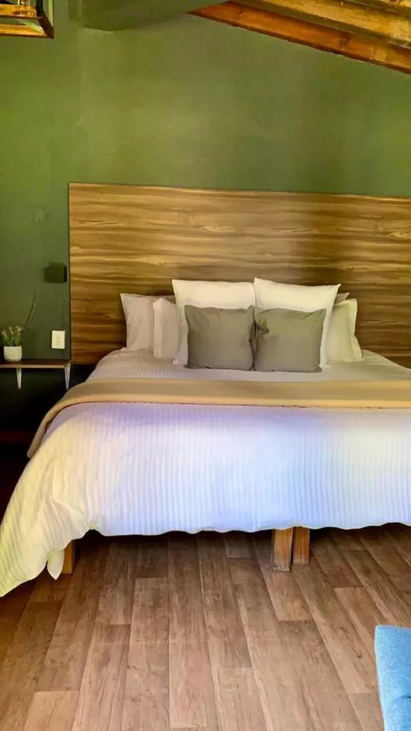 Deluxe Room in Orgánico Hotel Boutique VALLE DE BRAVO