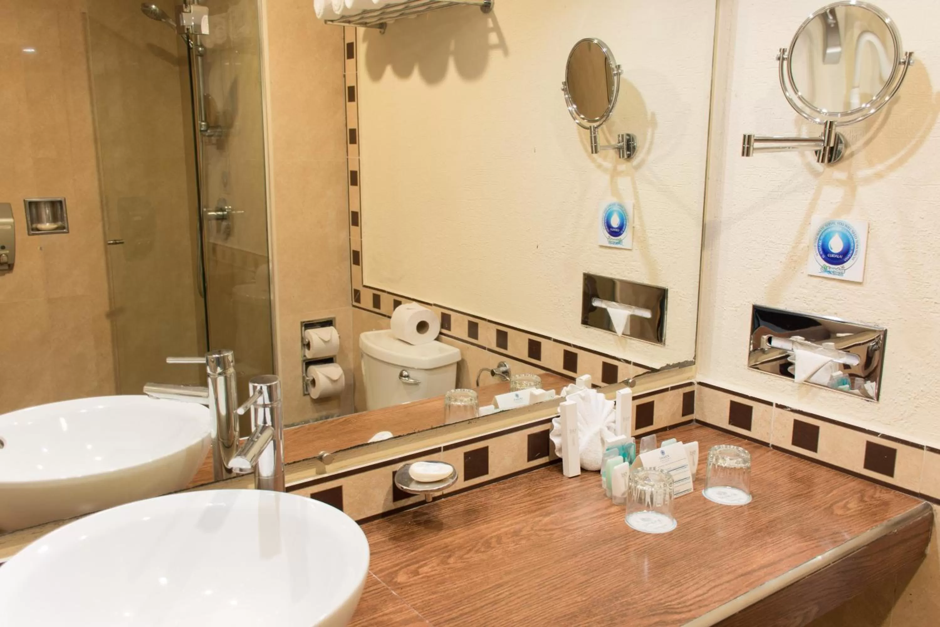 Rivera Family Queen Junior (2 Adults) in Sandos Playacar All Inclusive