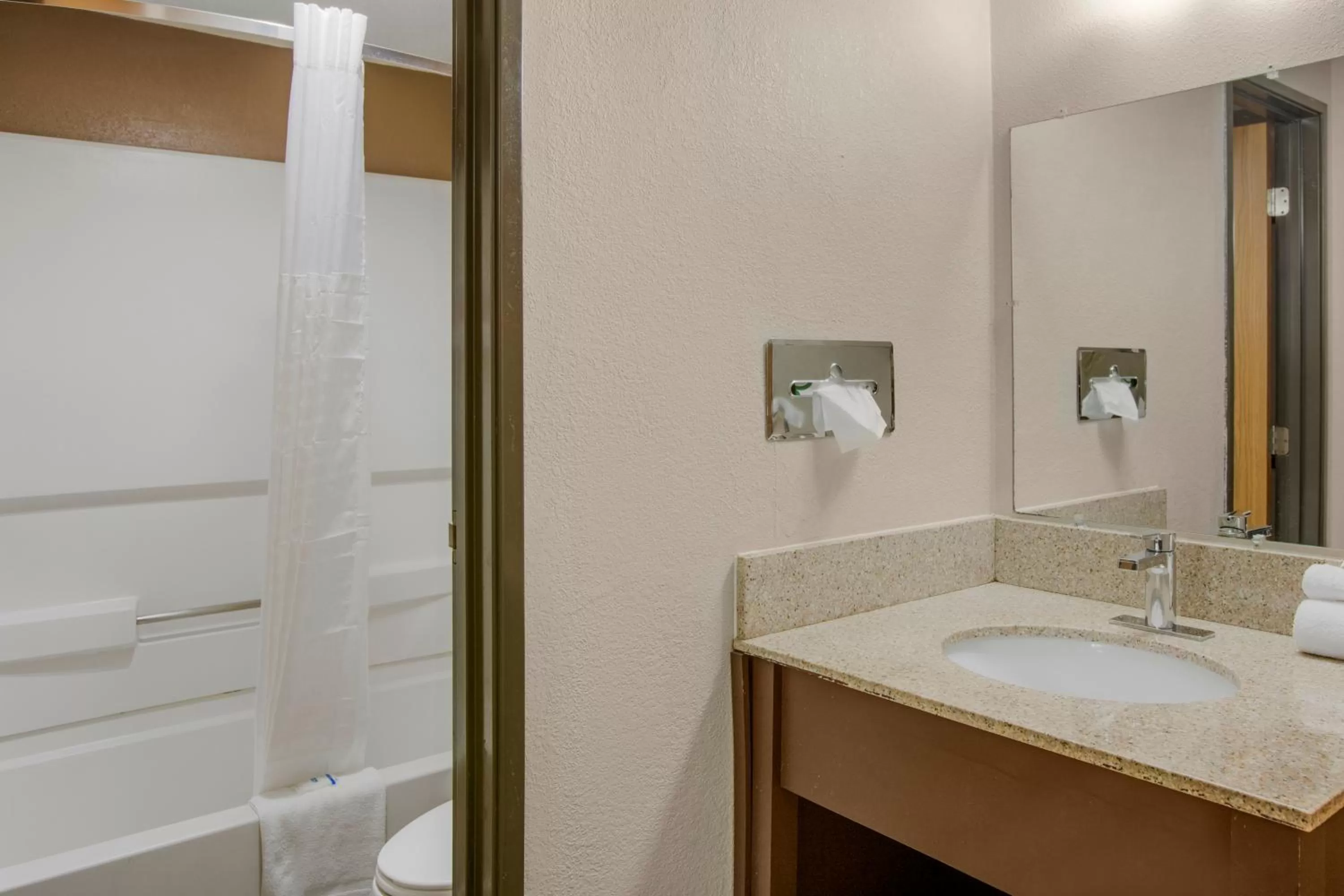 Standard King Room - Non-Smoking  in Rodeway Inn & Suites Grand Rapids Southeast