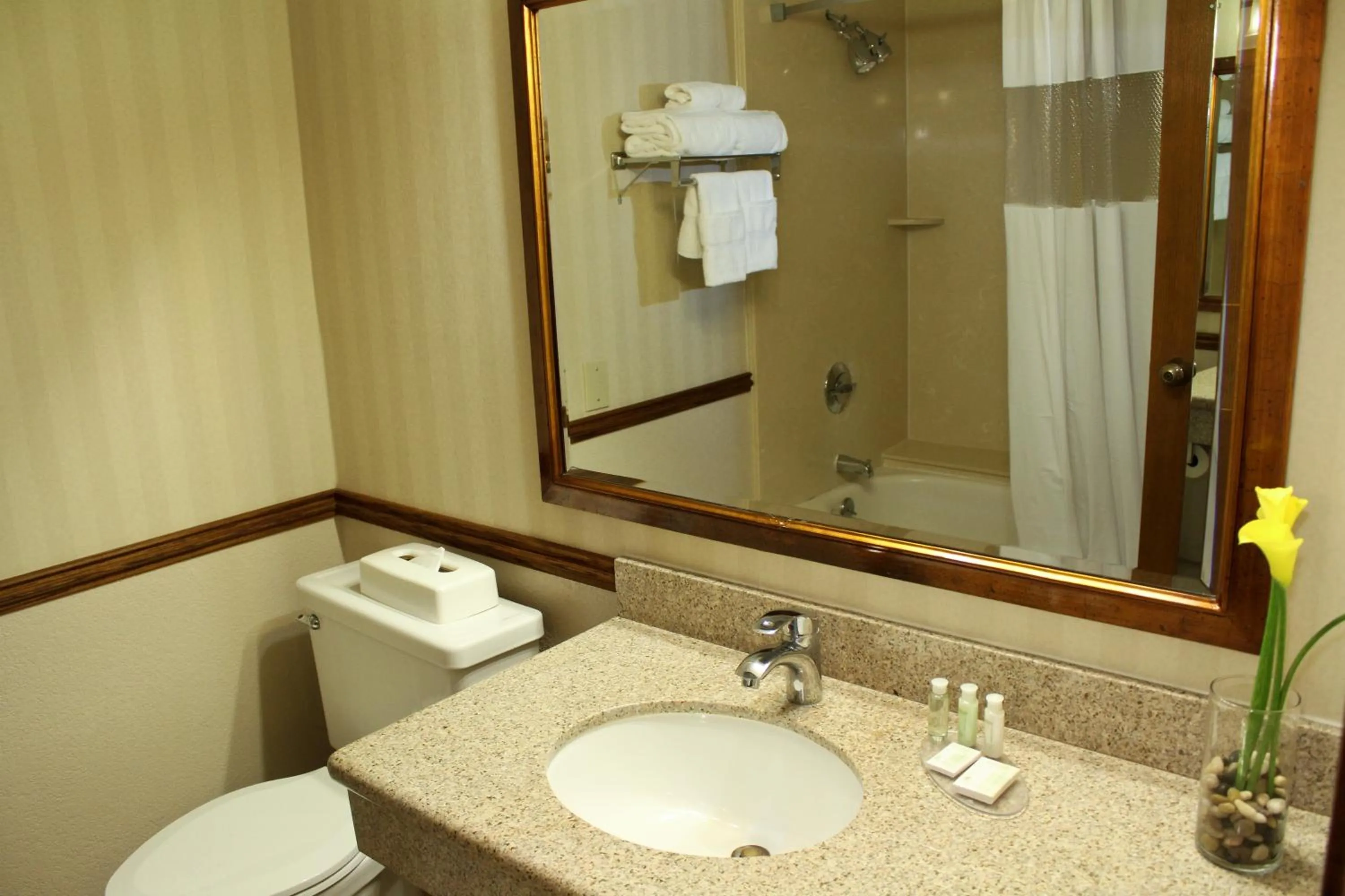 Executive King Suite in University Square Hotel