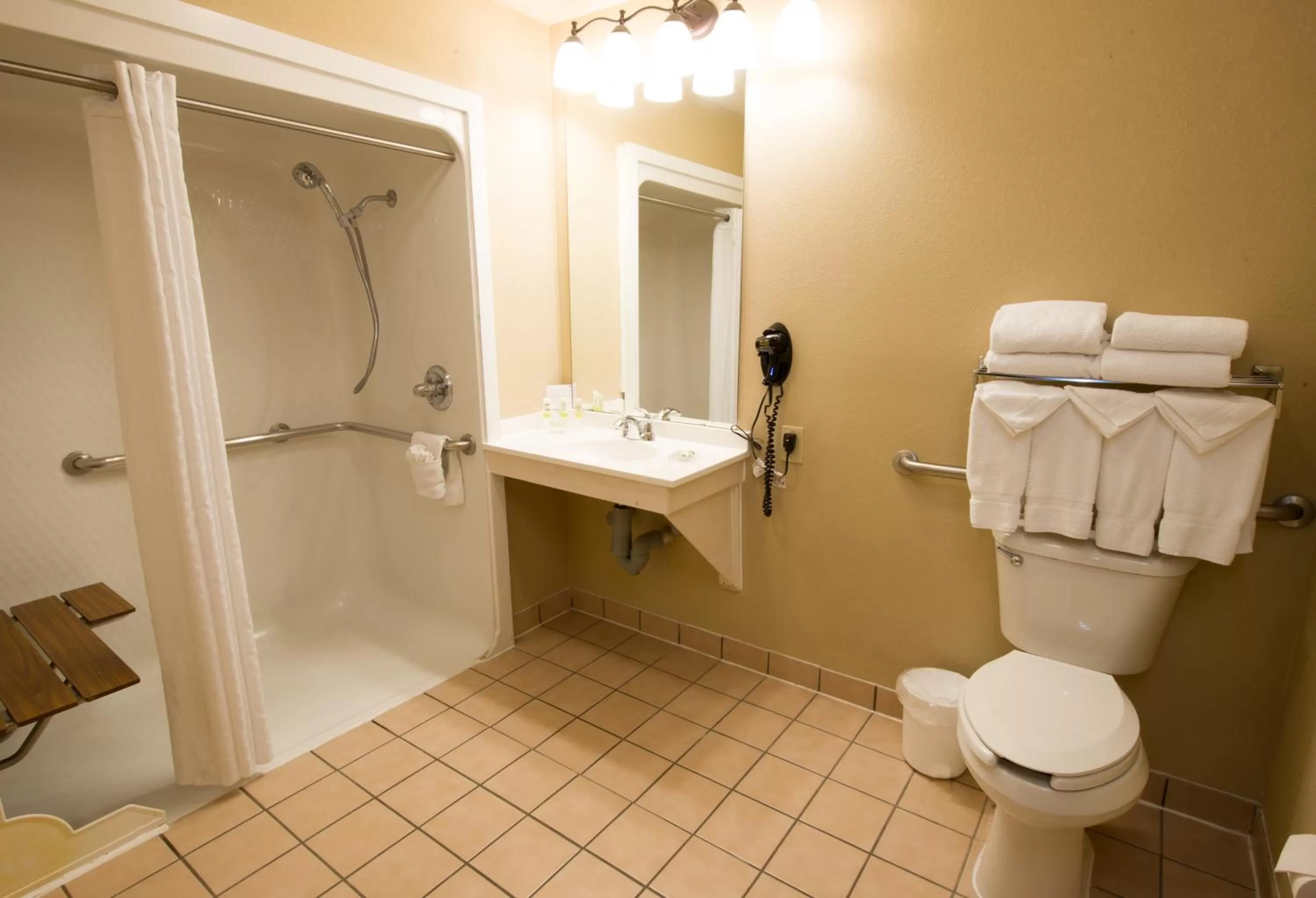 One-Bedroom King Suite - Disability Access - Non-Smoking in Country Inn & Suites by Radisson, Fort Worth, TX