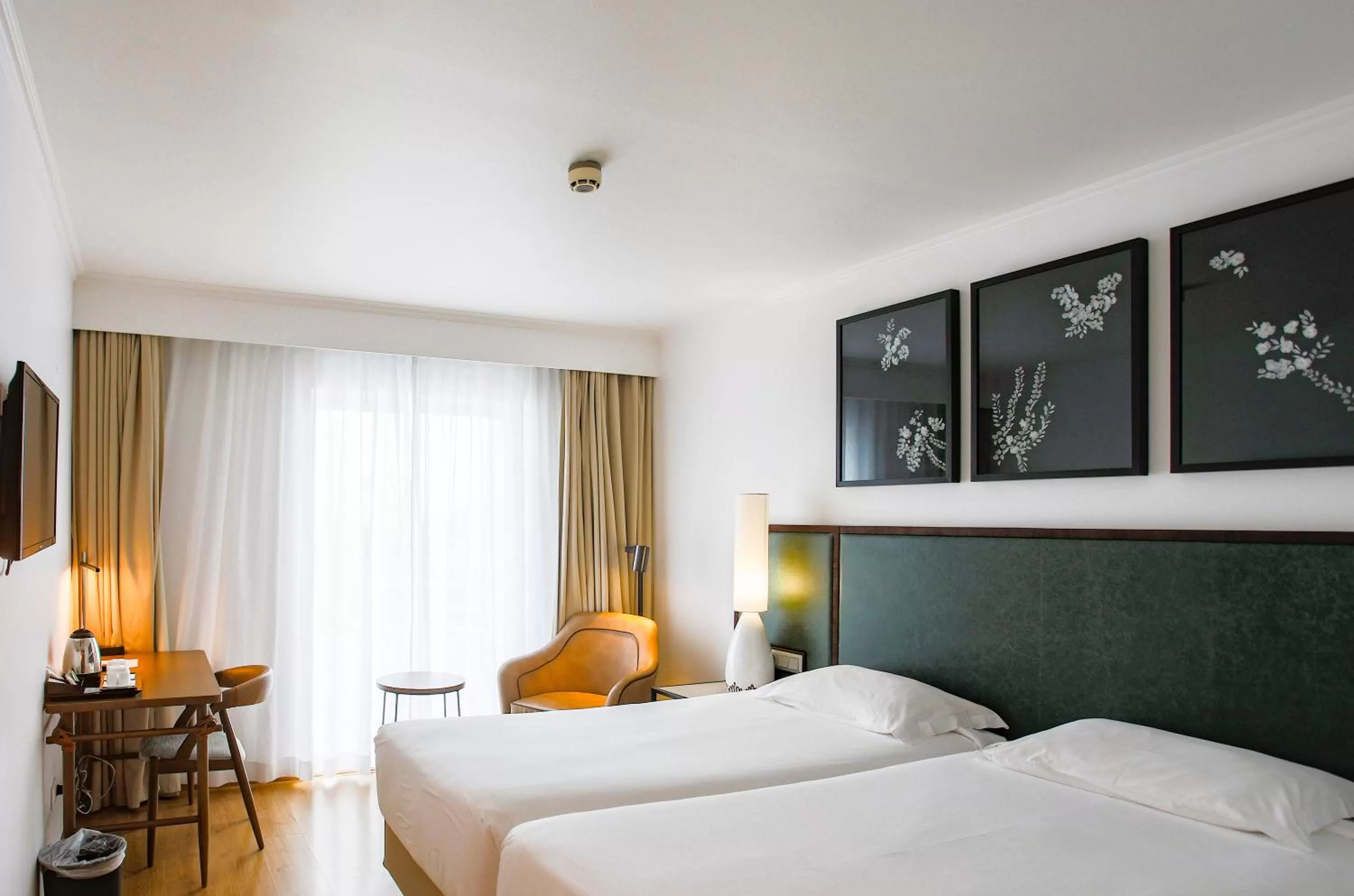 Superior Double or Twin Room - single occupancy in Hotel Ponta Delgada