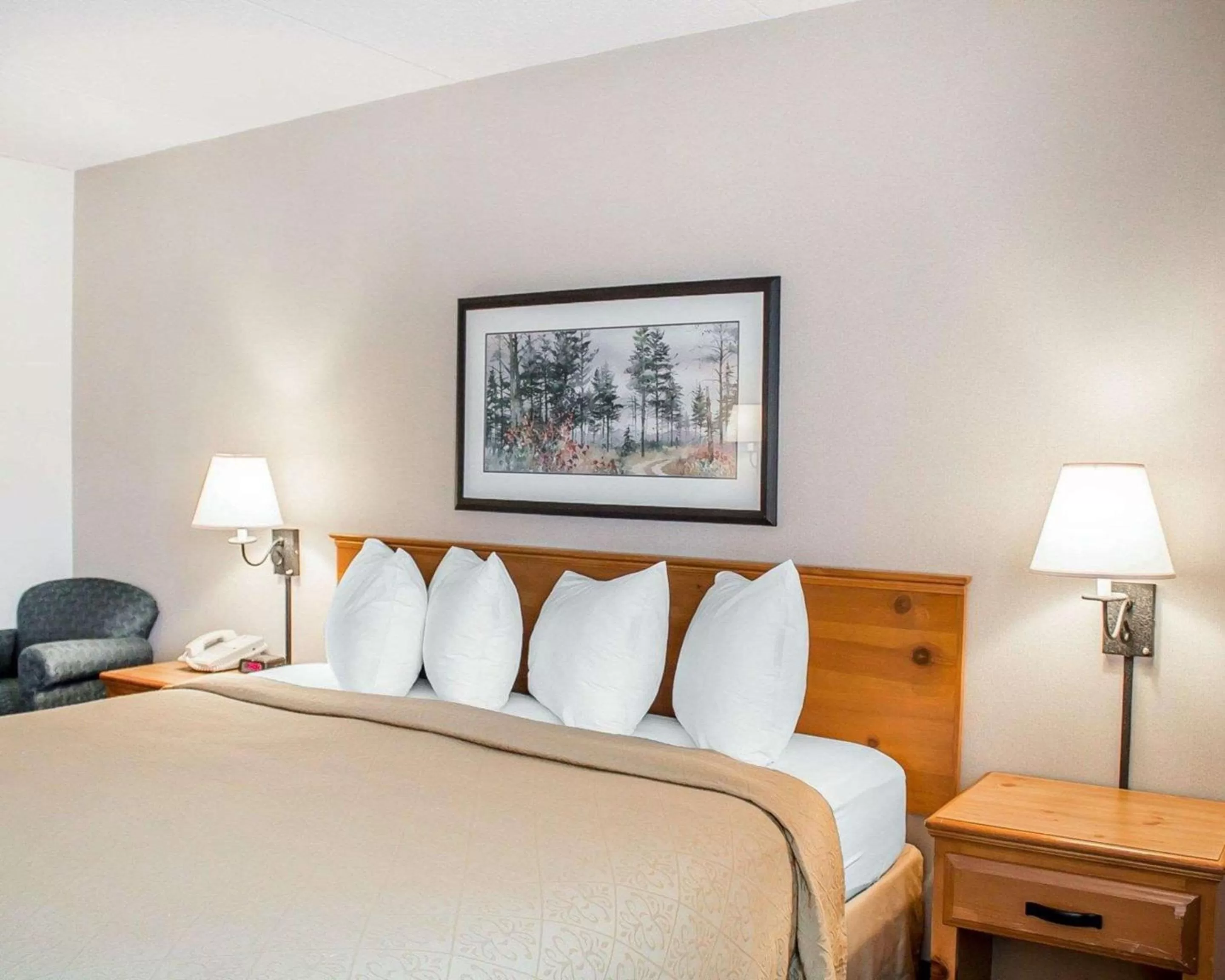Superior King Room - Mobility Accessible/Non-Smoking in Quality Inn Rhinelander