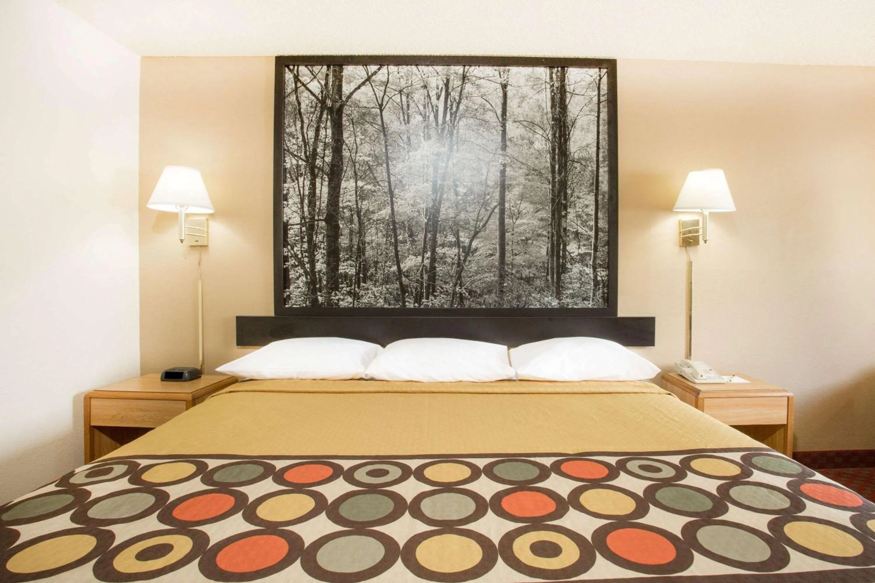 King Room - Non-Smoking in Super 8 by Wyndham Lexington VA