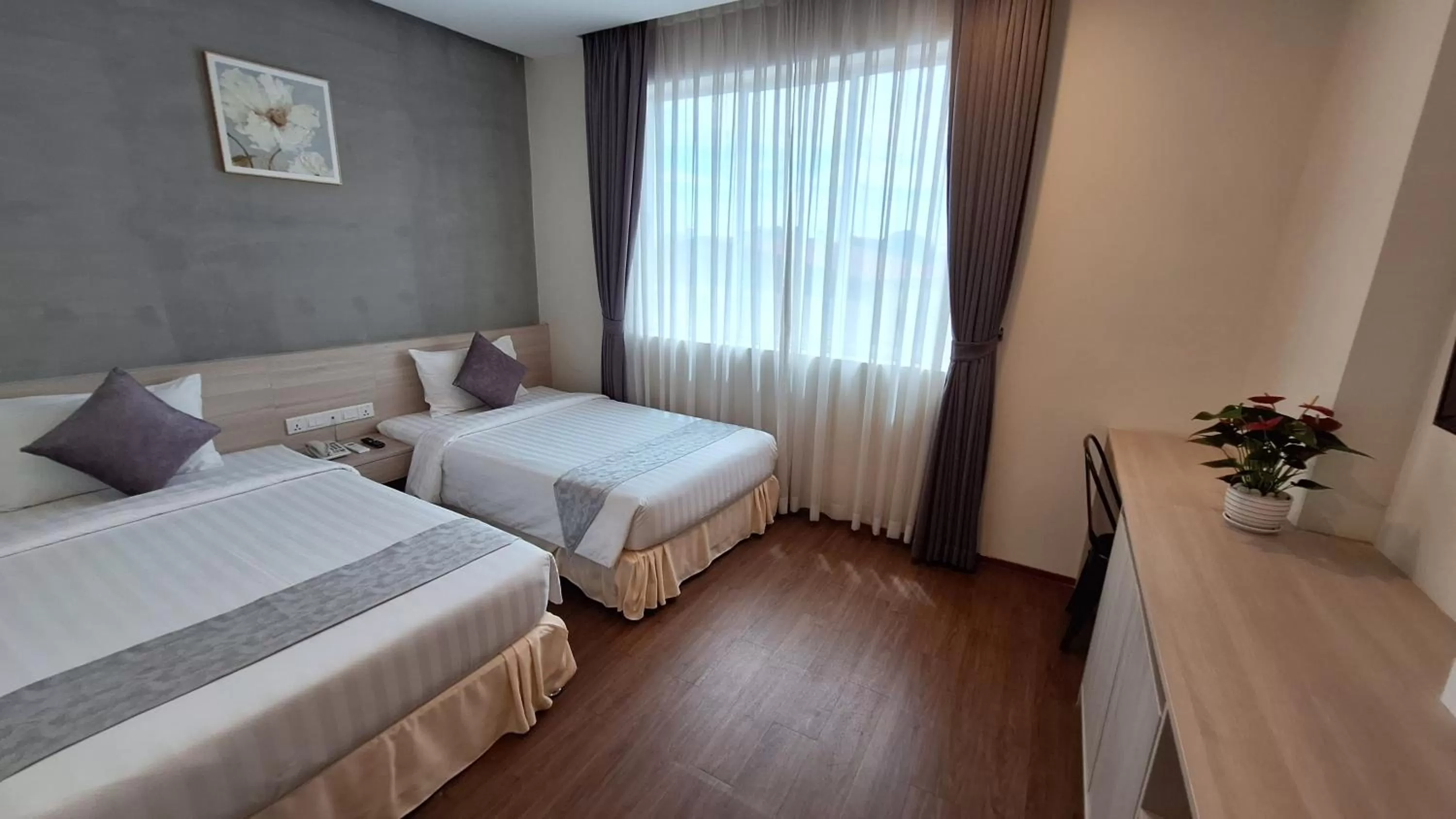 Superior Twin Room - single occupancy in Joli Hotel