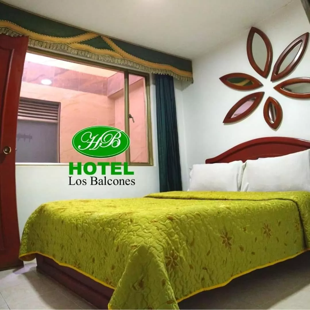 Single Room in HOTEL LOS BALCONES