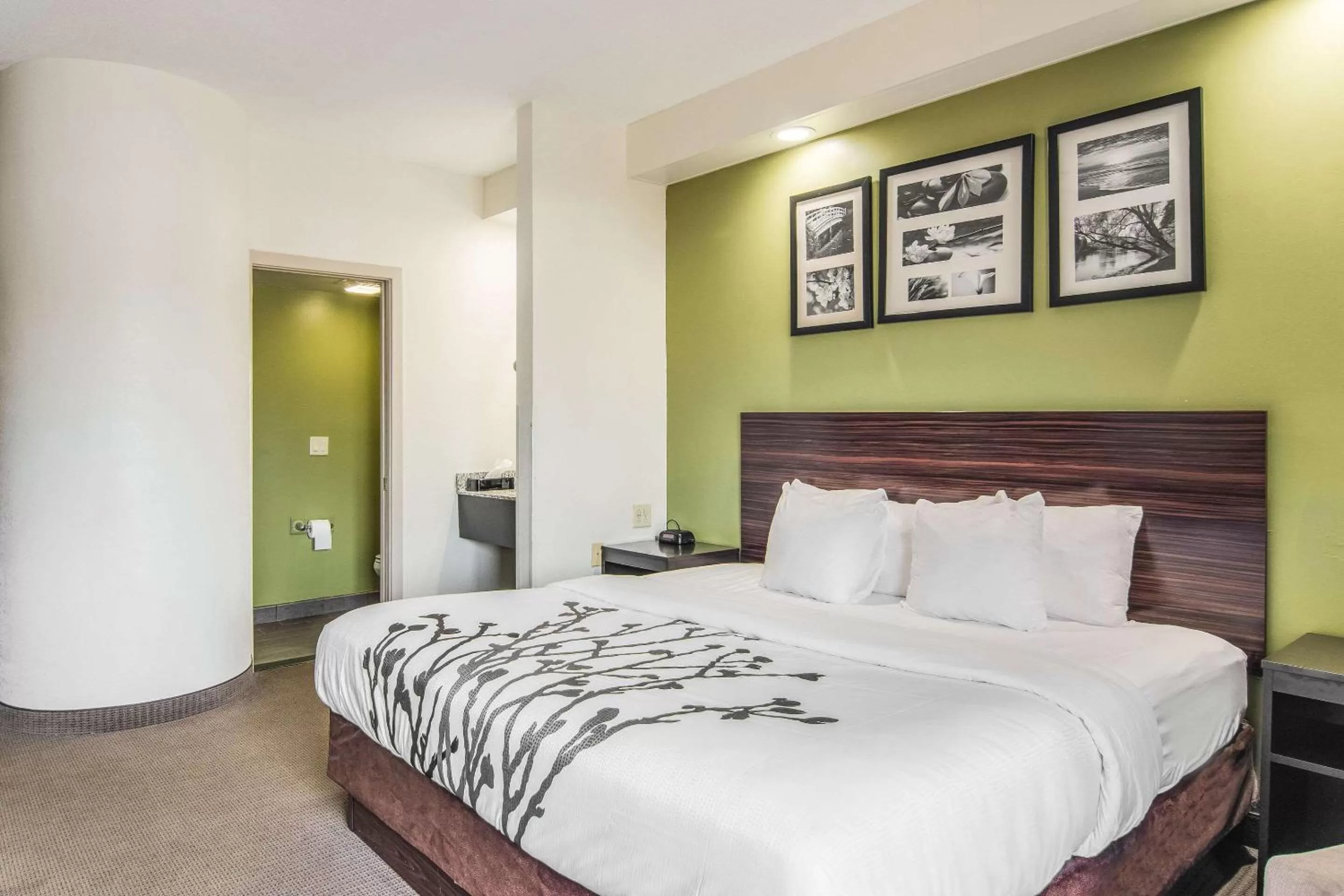 King Room - Smoking  in Sleep Inn Austintown - Youngstown, West