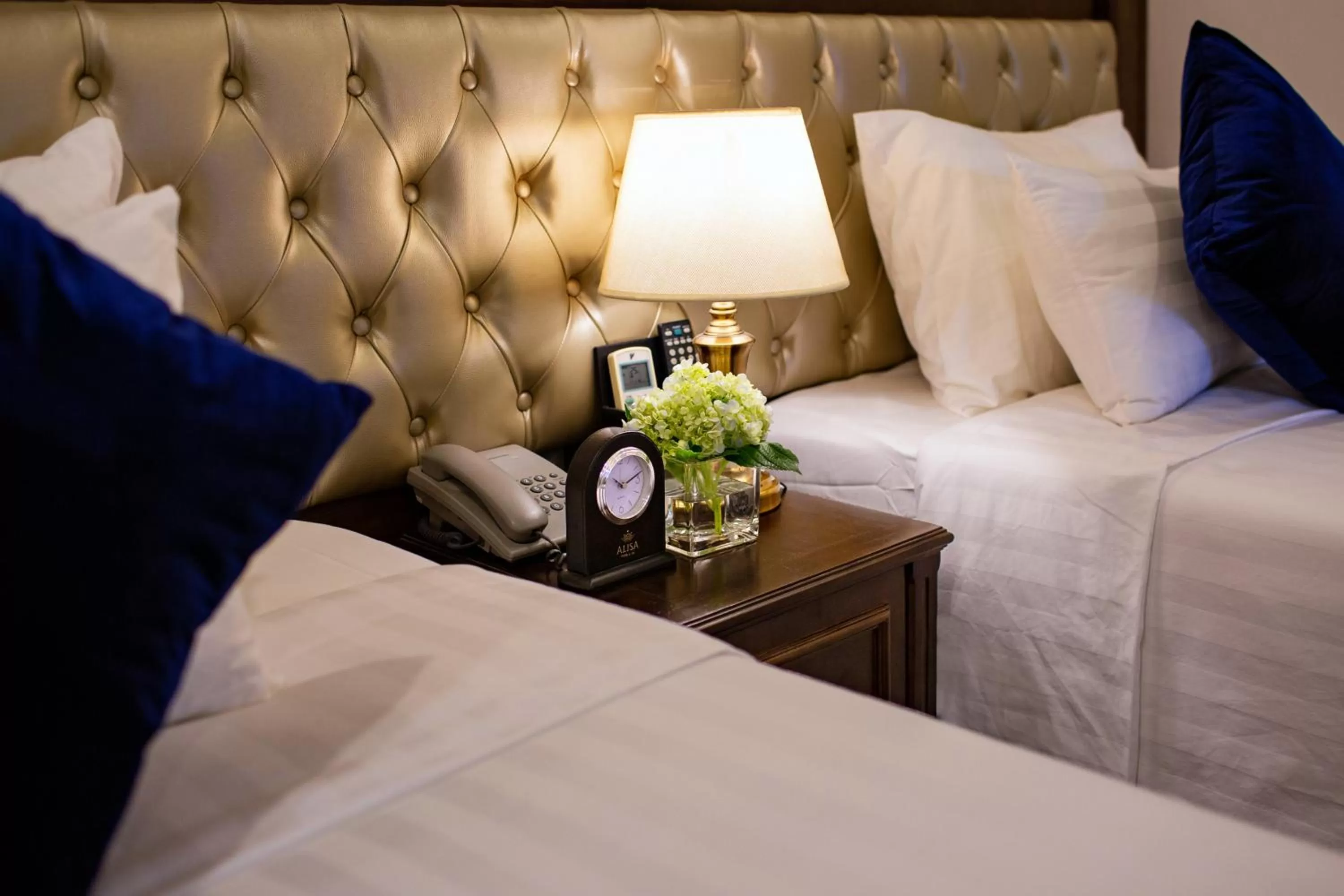 Superior Double Room in Alisa Hotel & Spa