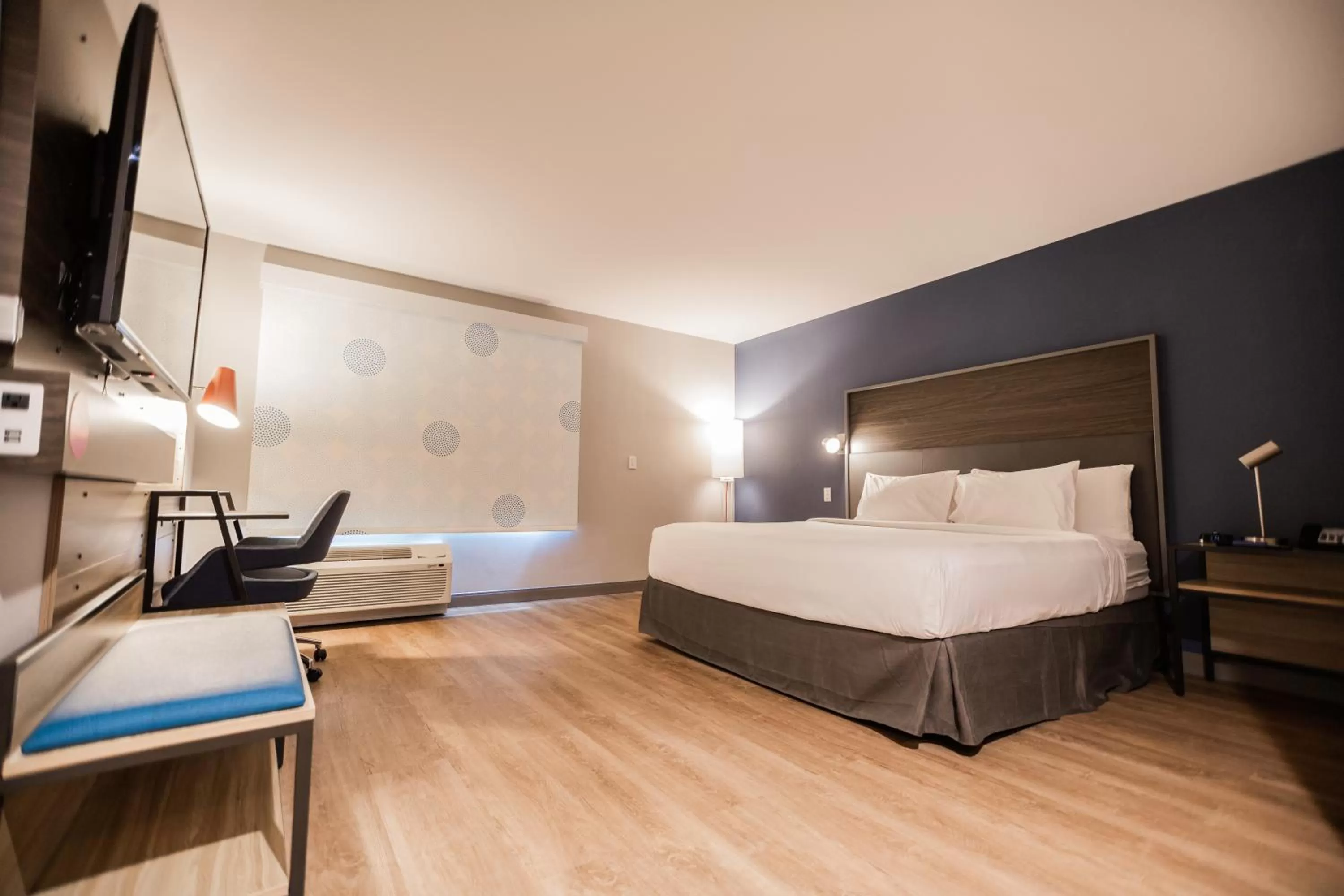 King Room with Roll-In Shower - Mobility and Hearing Access in Tru By Hilton Yarmouth, Ns