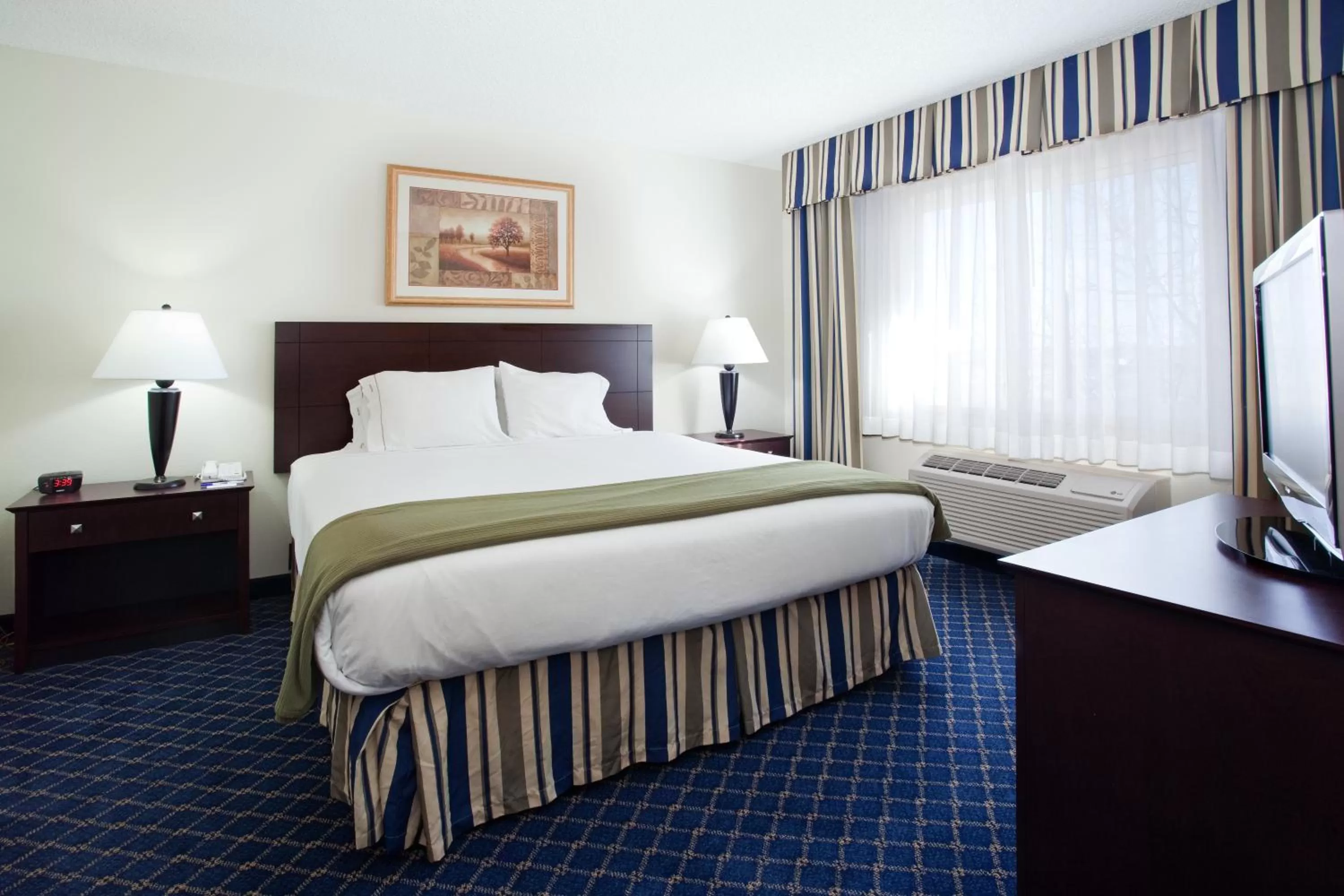King Room - Hearing Accessible/Non-Smoking  in Holiday Inn Express Hotel & Suites Torrington by IHG