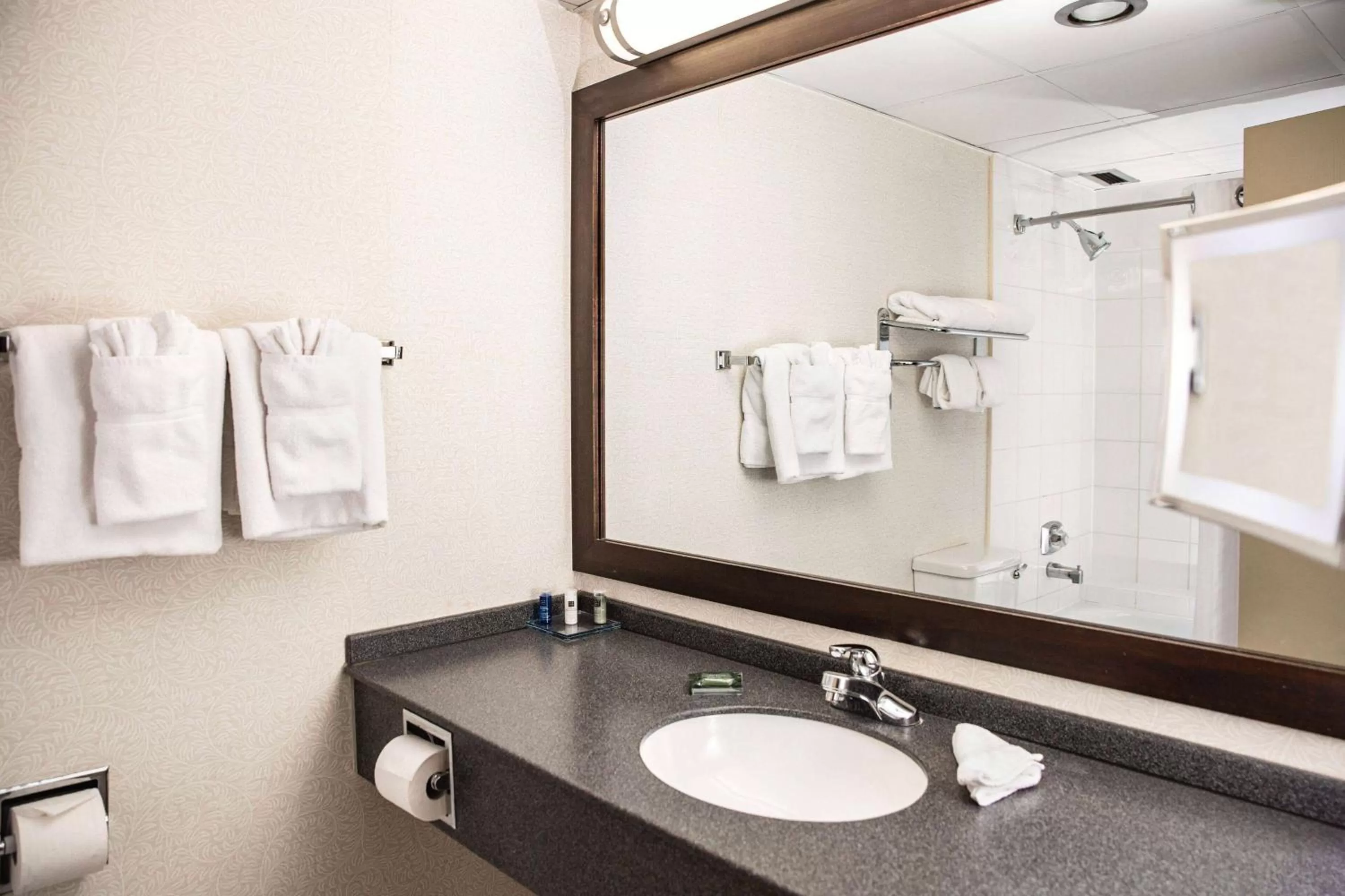 King Suite with Jetted Tub, Non-Smoking in Wyndham Edmonton Hotel and Conference Centre