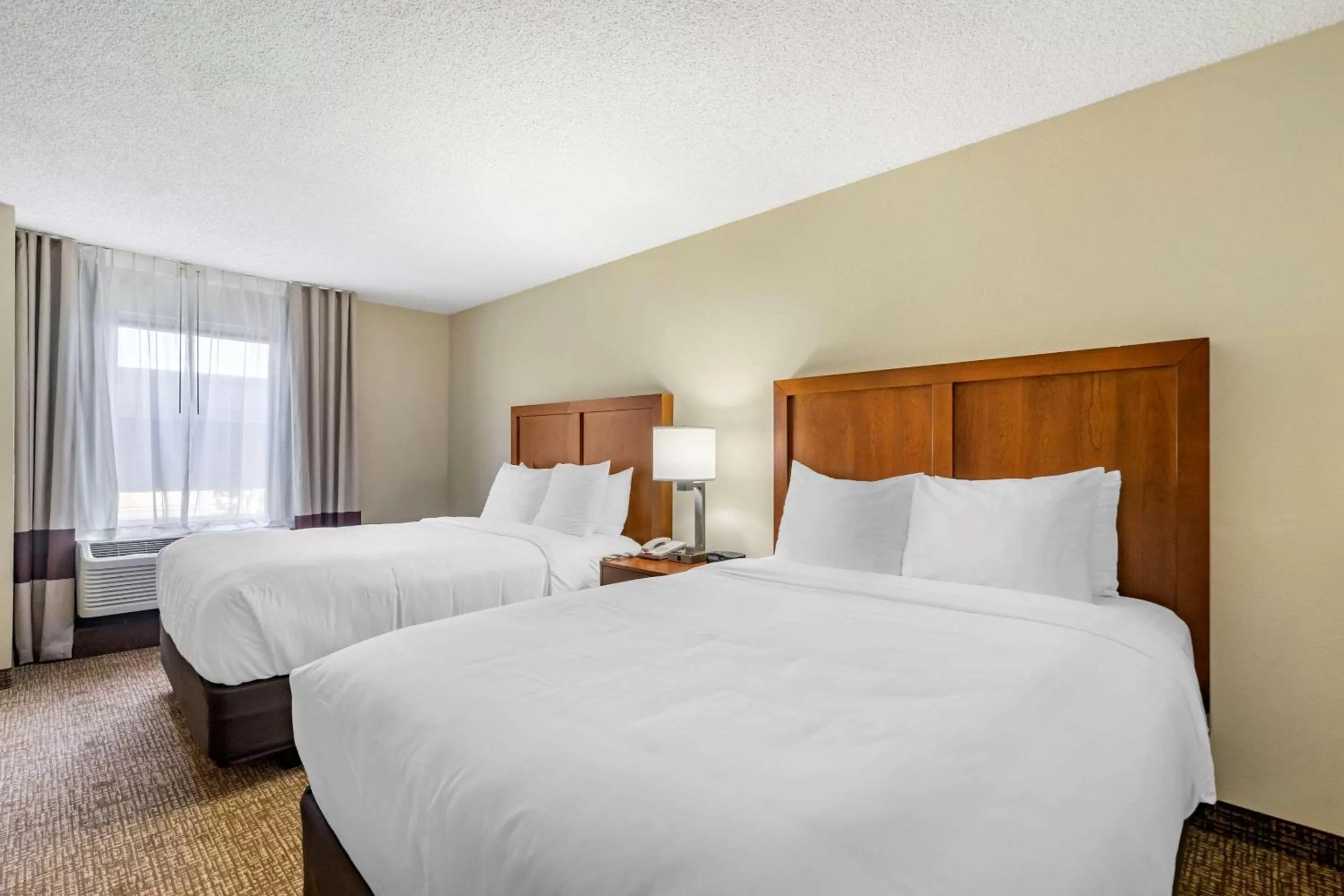 One-Bedroom Suite with Two Queen Beds with Sofa Bed - Non-Smoking in Comfort Inn & Suites St Pete - Clearwater International Airport