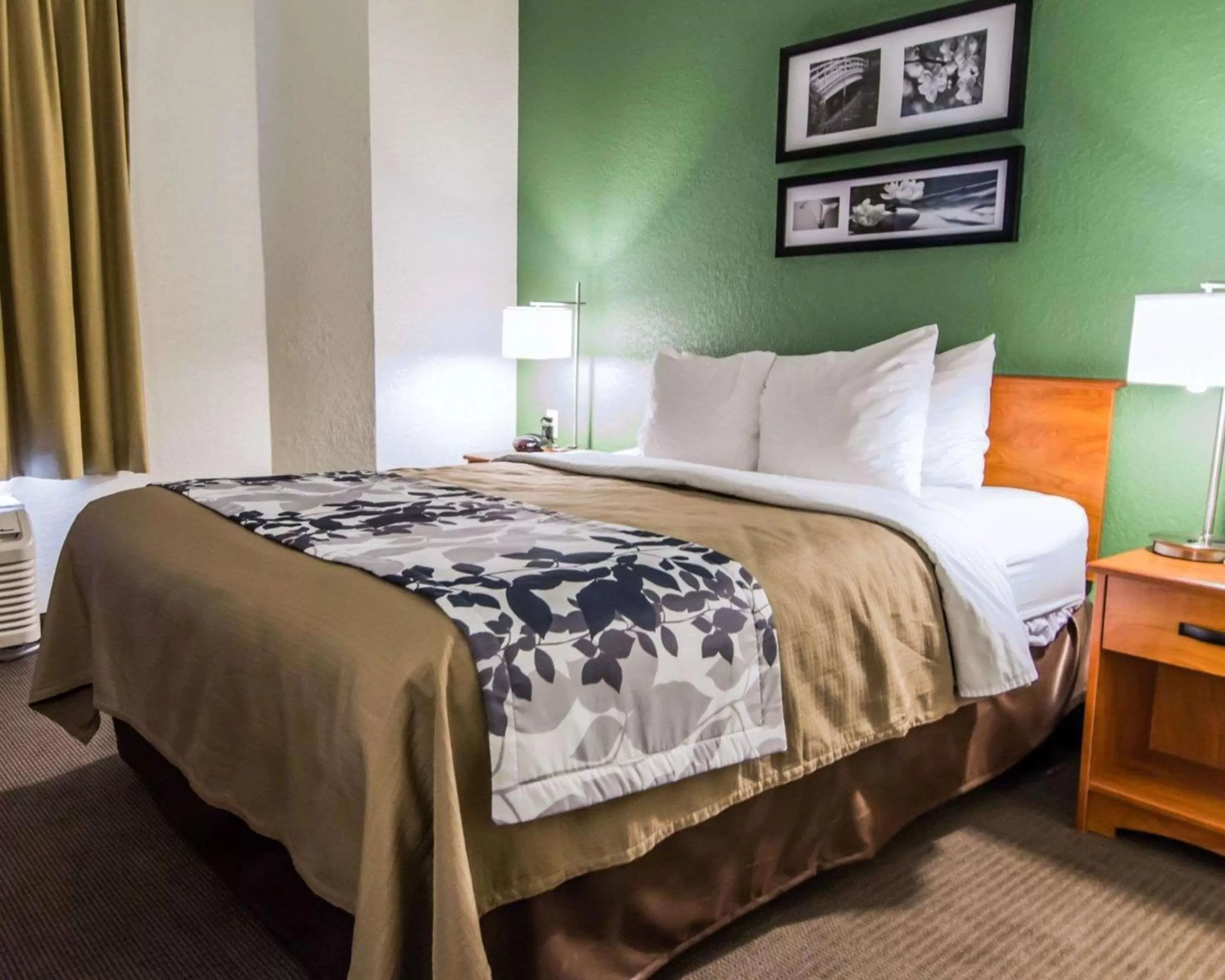 King Room - Non-Smoking in Sleep Inn