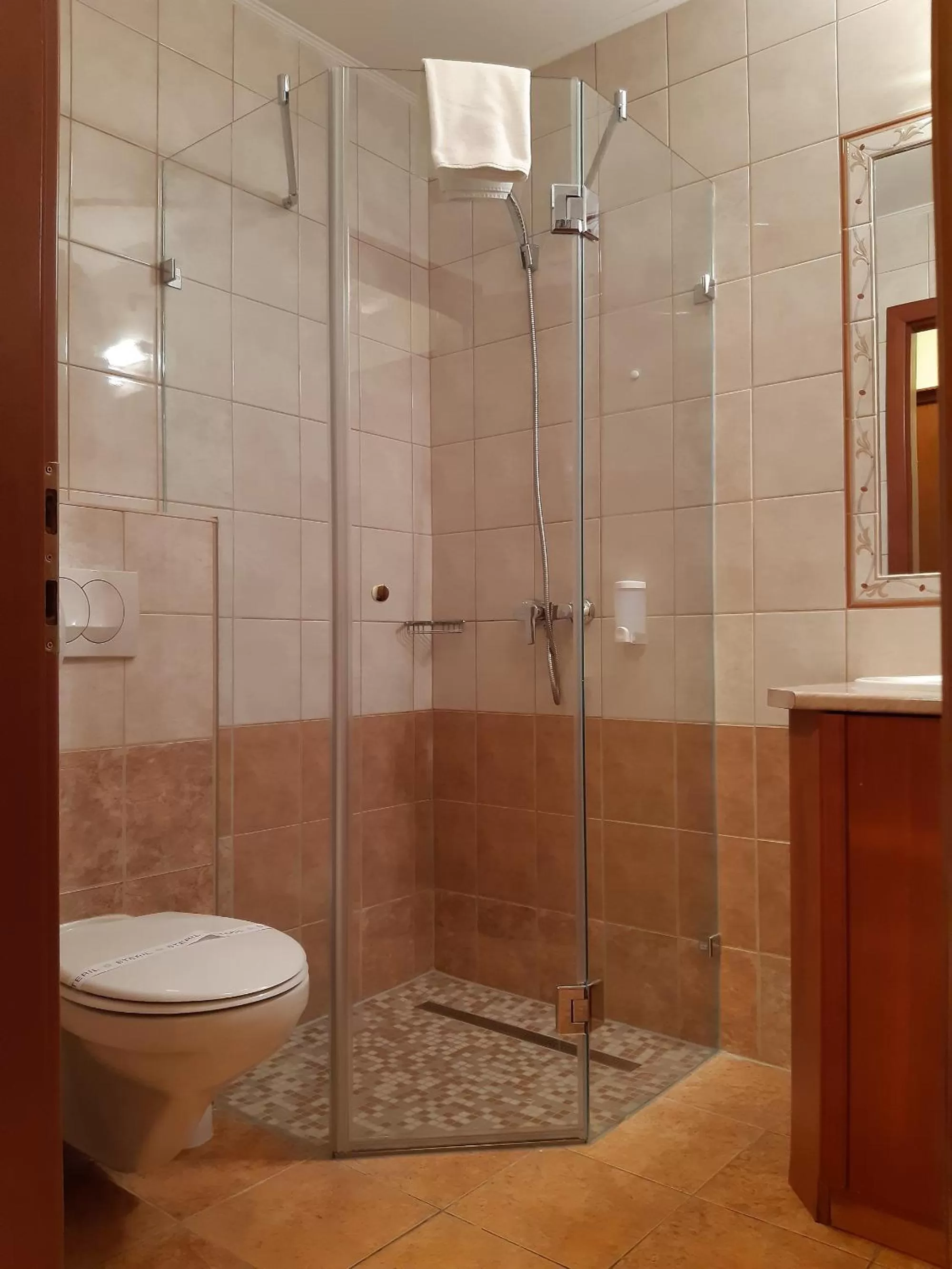 Standard Single Room in SANTE Hévíz