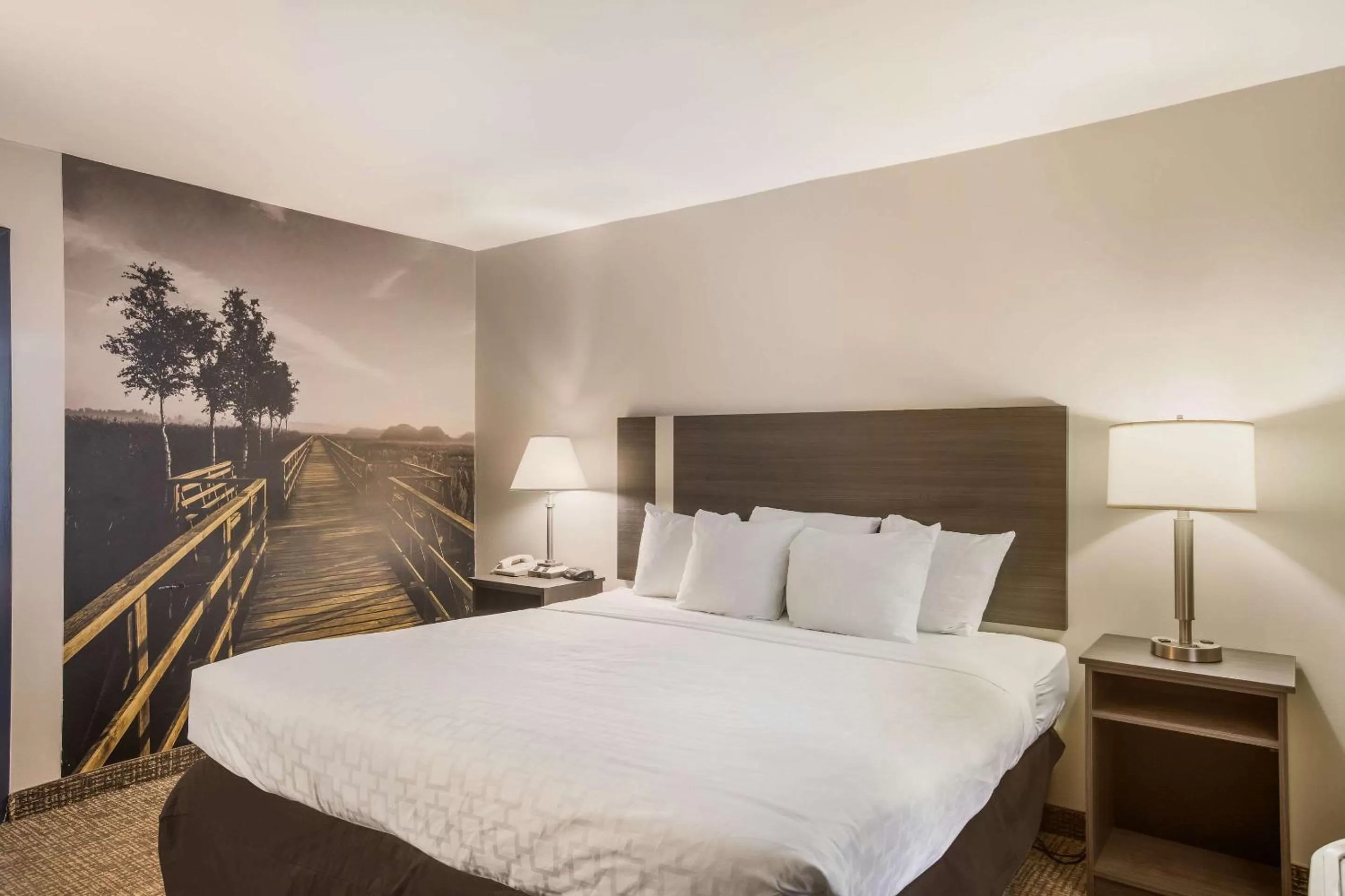 King Room - Non-Smoking in Clarion Pointe Forsyth I-75