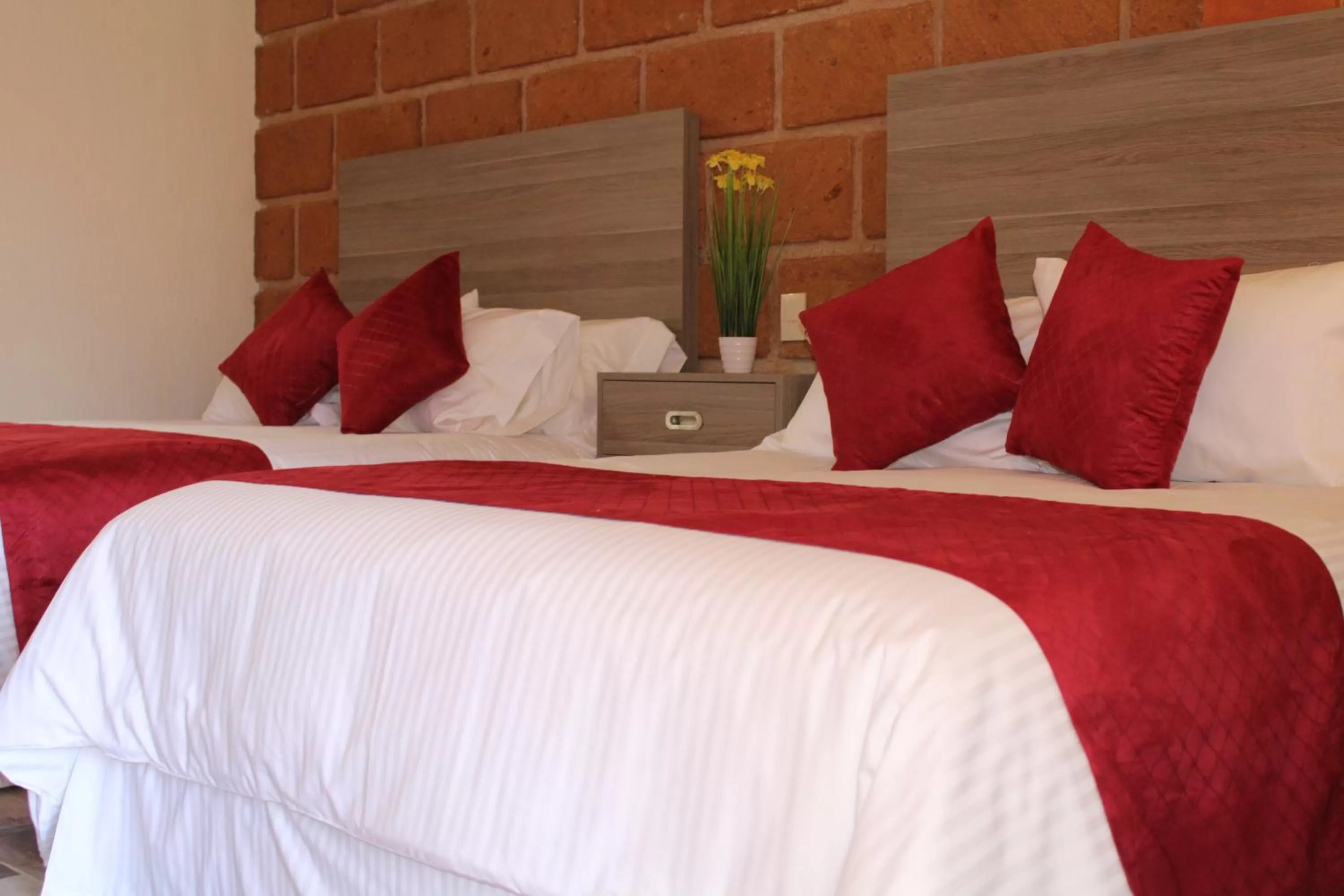 Standard Twin Room in Hotel Boutique La Herencia
