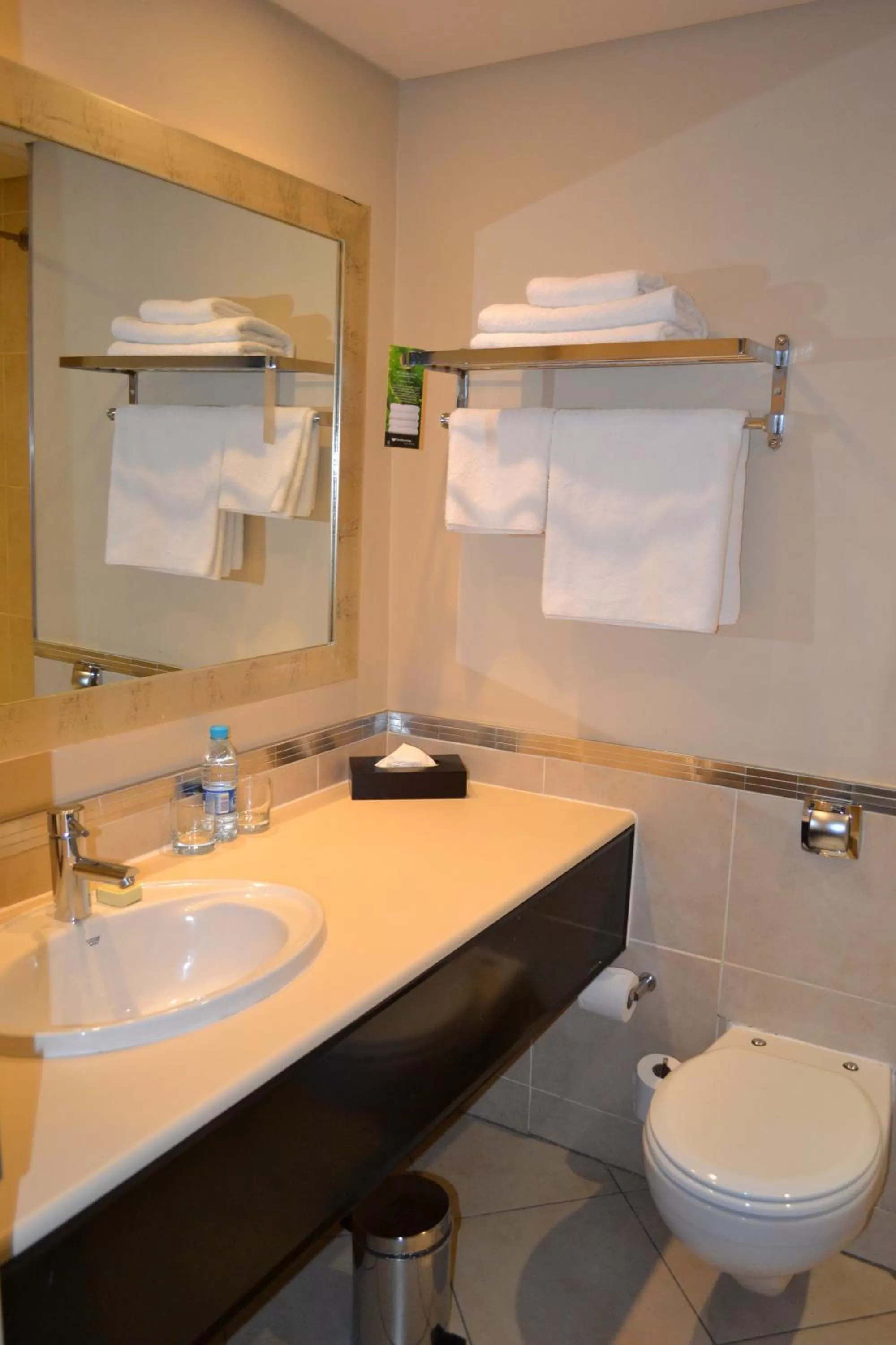 Standard Room 2 Double Beds Non-Smoking in Southern Sun Pretoria