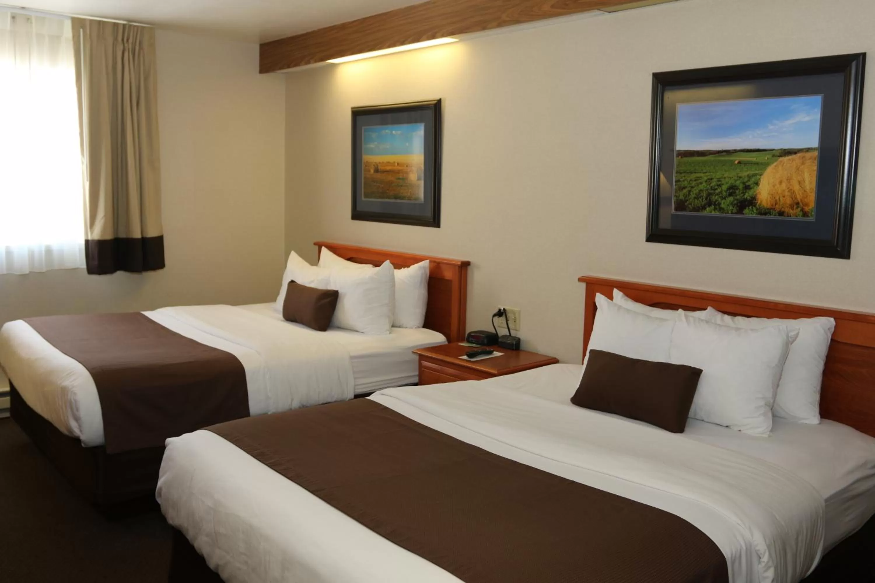 Queen Room with Two Queen Beds - Disability Access - Non-Smoking in Motel 6 Minot, ND