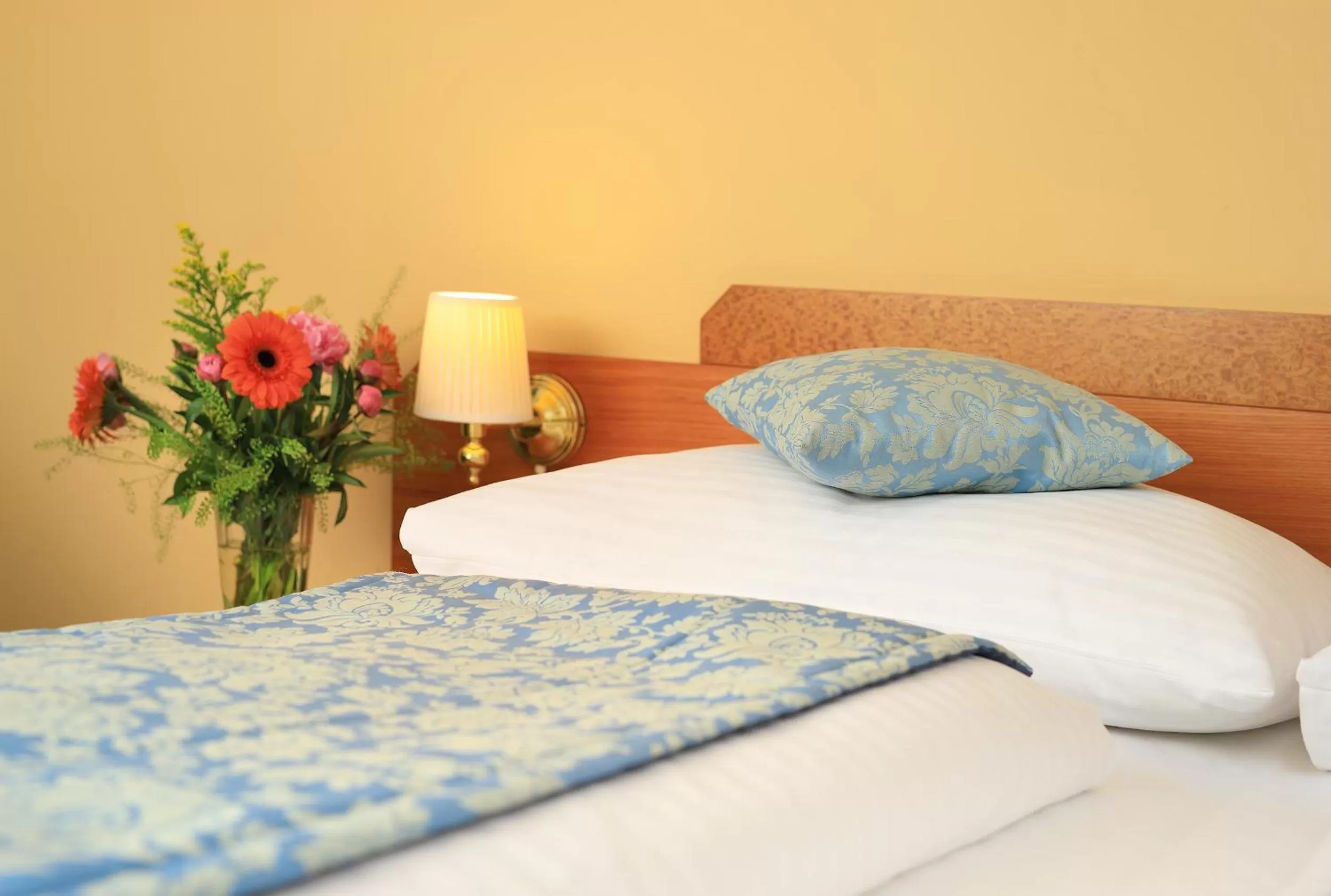 Standard Double Room in Hotel Bellevue Wien