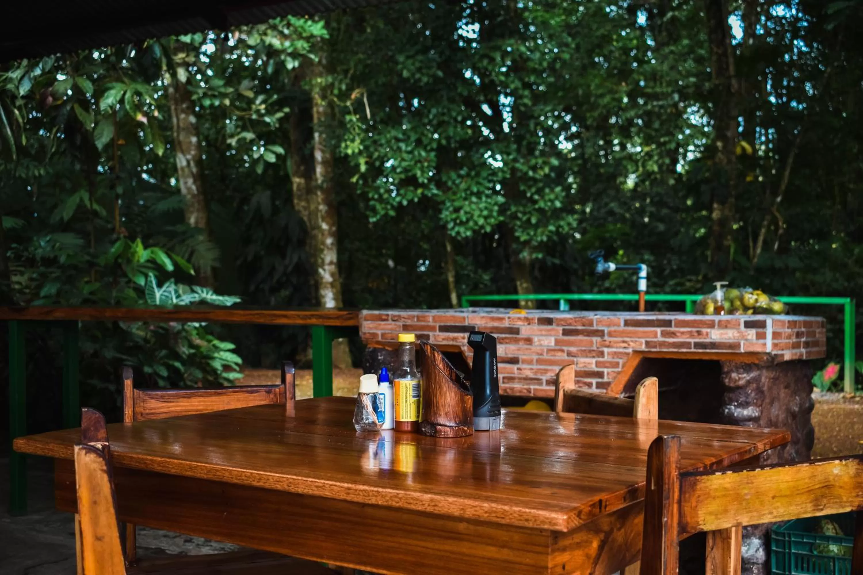 Twin Room in Arenal Descanso