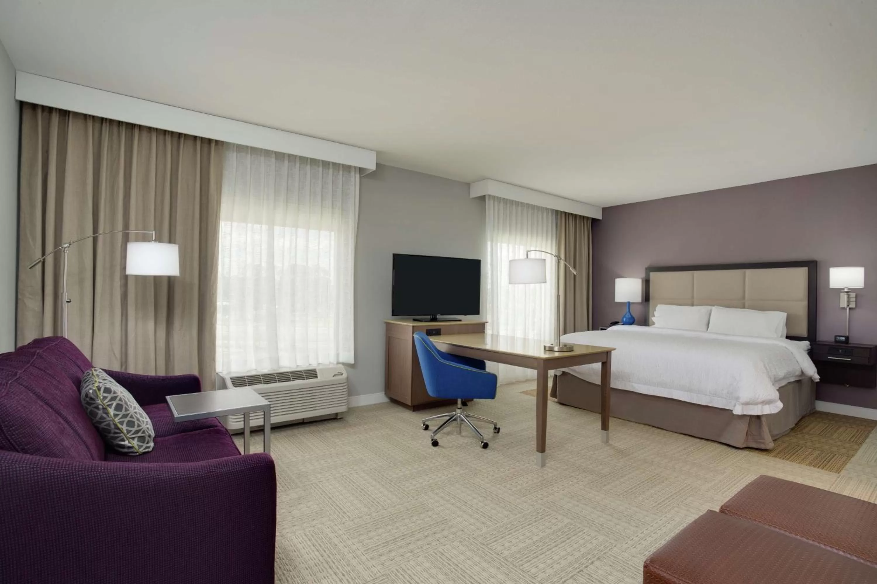 King Studio Suite - Non Smoking in Hampton Inn and Suites Jacksonville/Orange Park, FL