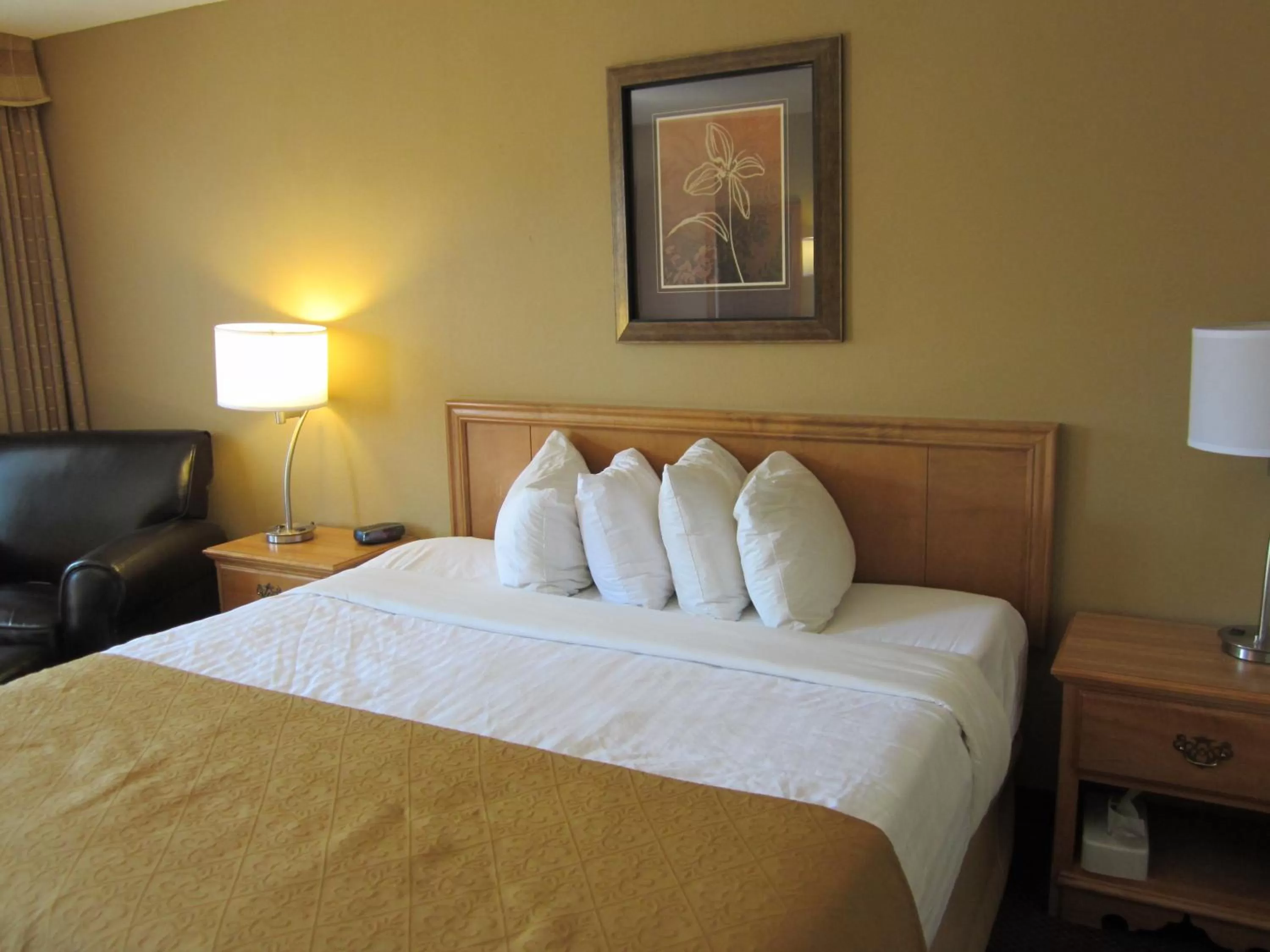 King Room in Quality Inn Merritt