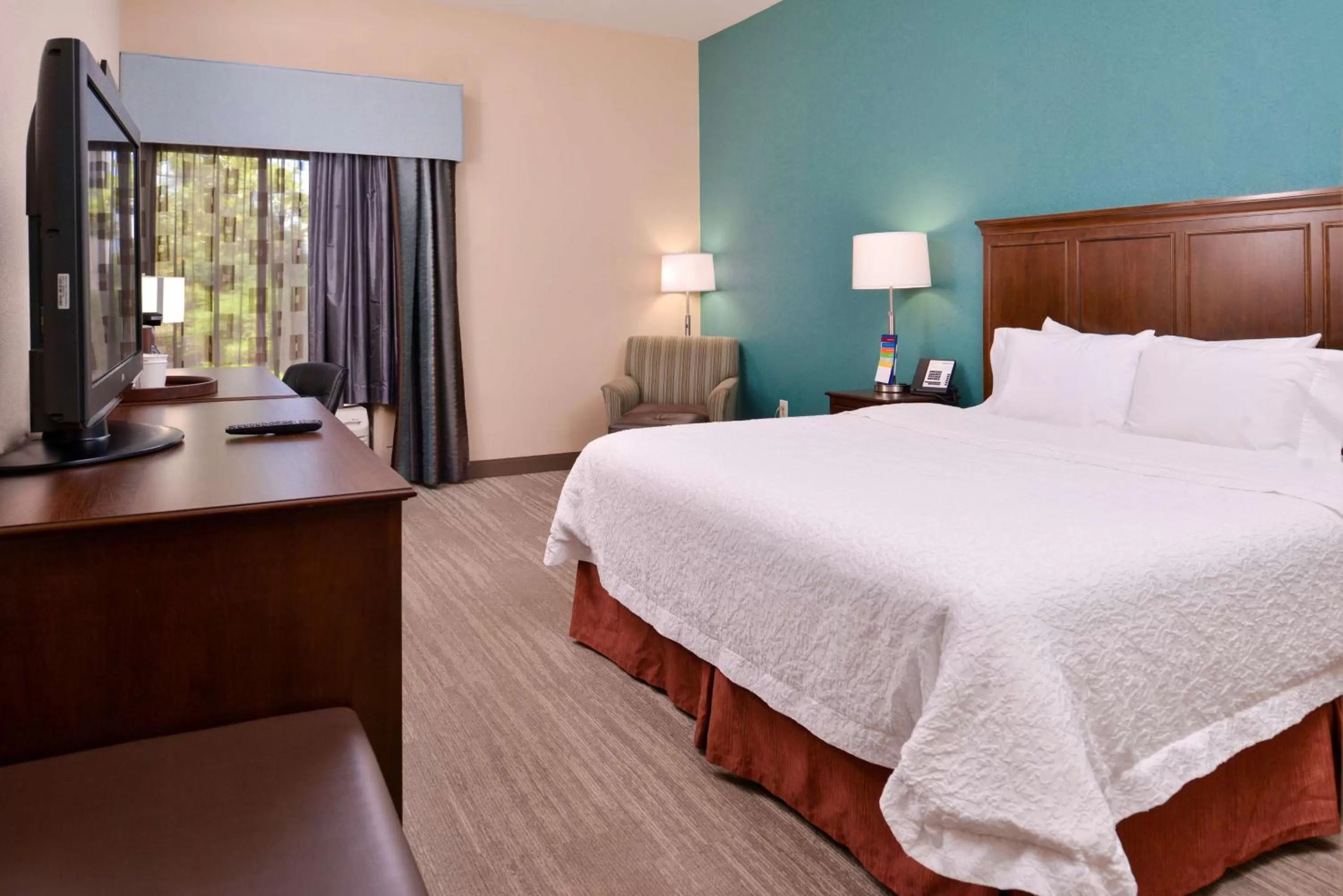 King Room with King Bed - Non-Smoking in Hampton Inn by Hilton Decatur