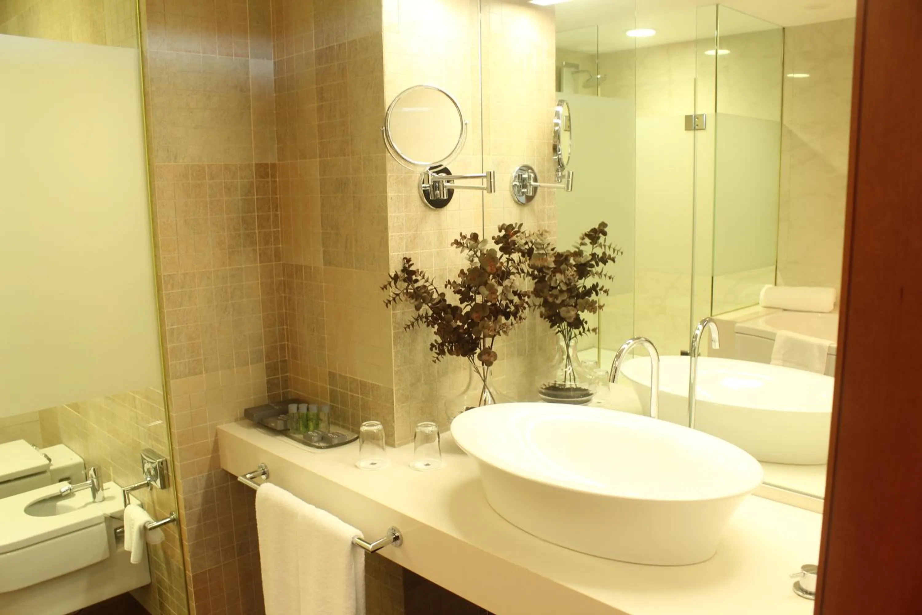 Classic Suite in Hotel Ego