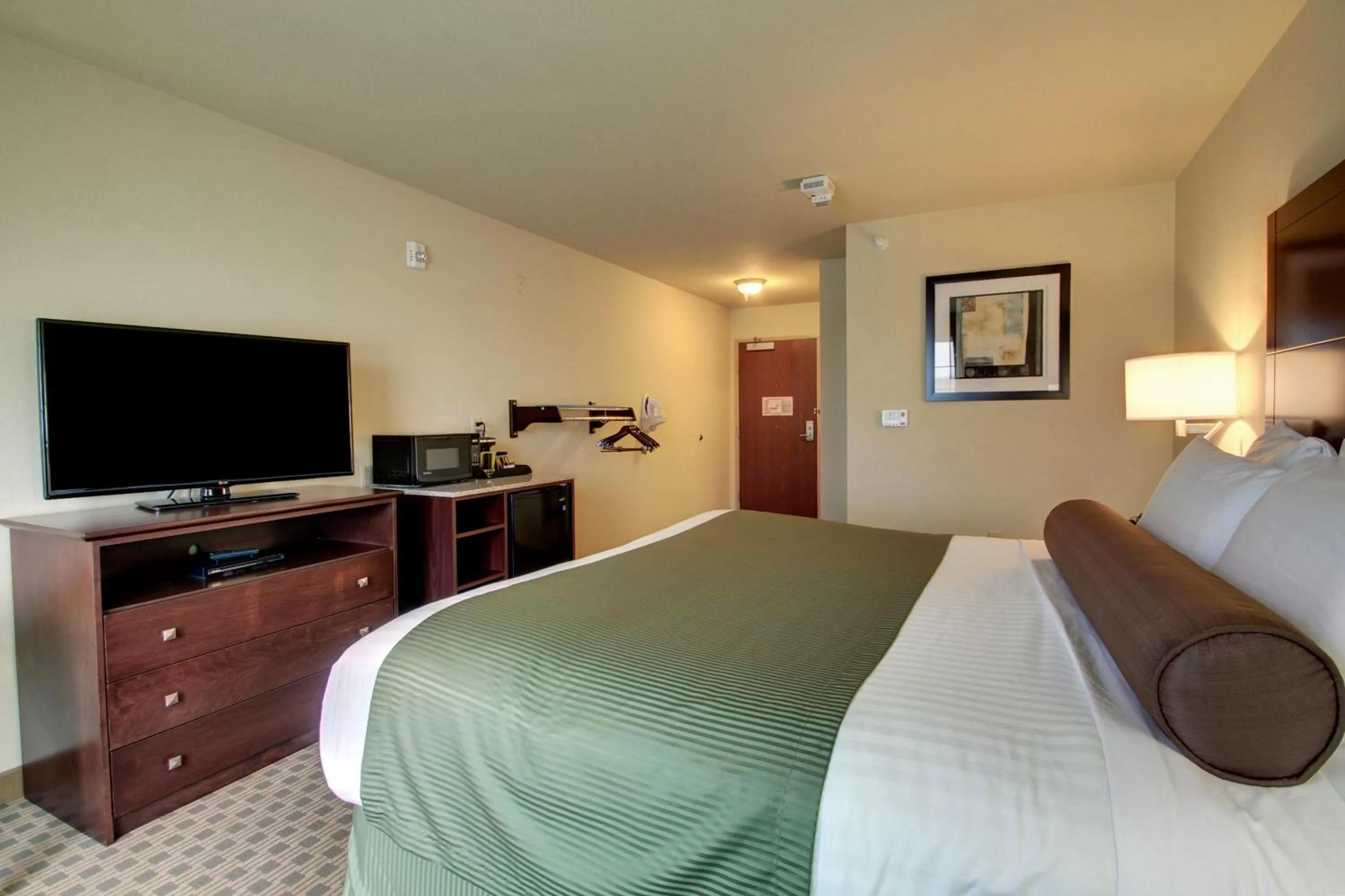 King Room with Roll-In Shower - Disability Access in Cobblestone Inn & Suites Steele