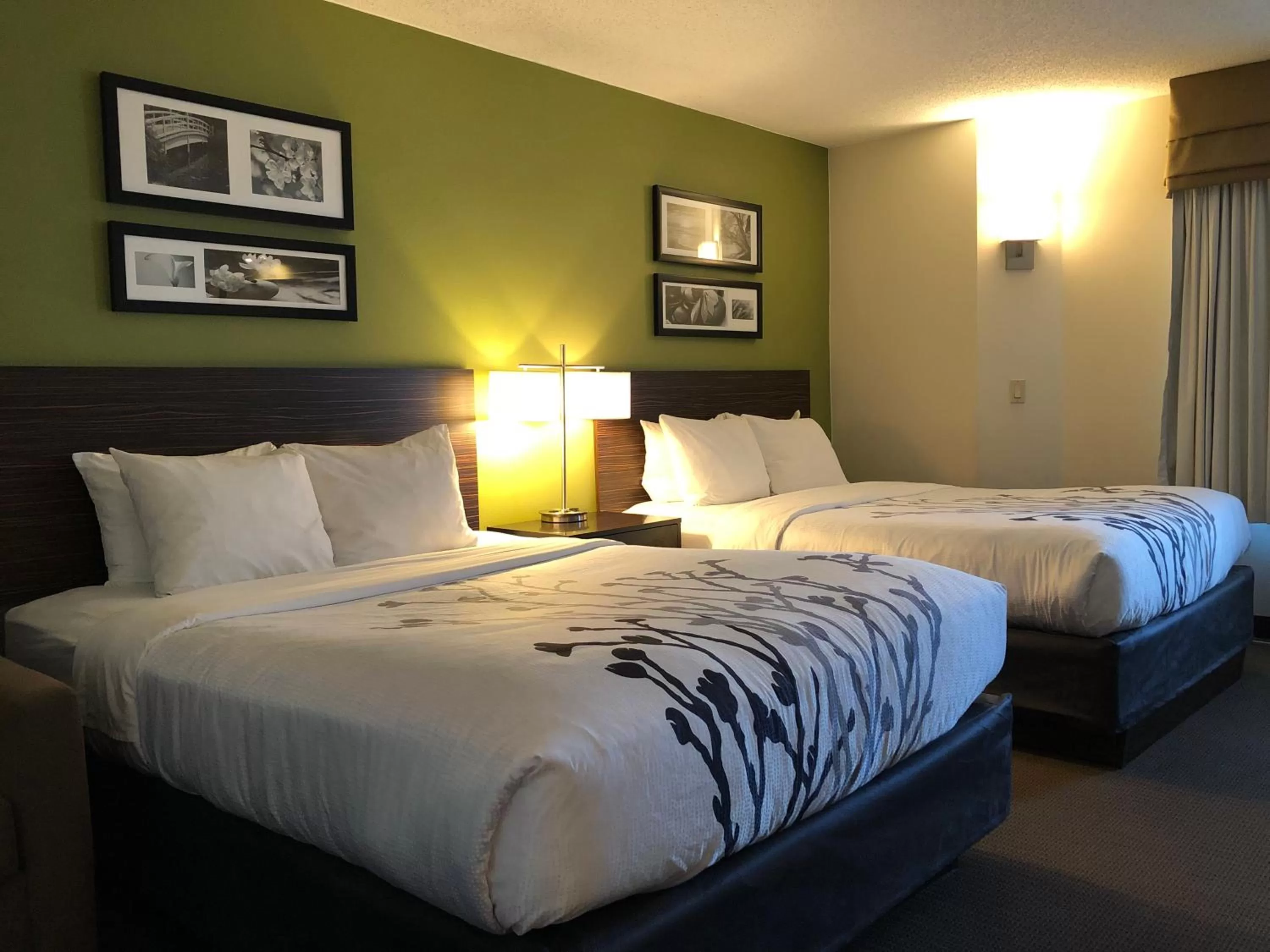 Standard Double Room with Two Double Beds - Non-Smoking in SureStay by Best Western Roseburg