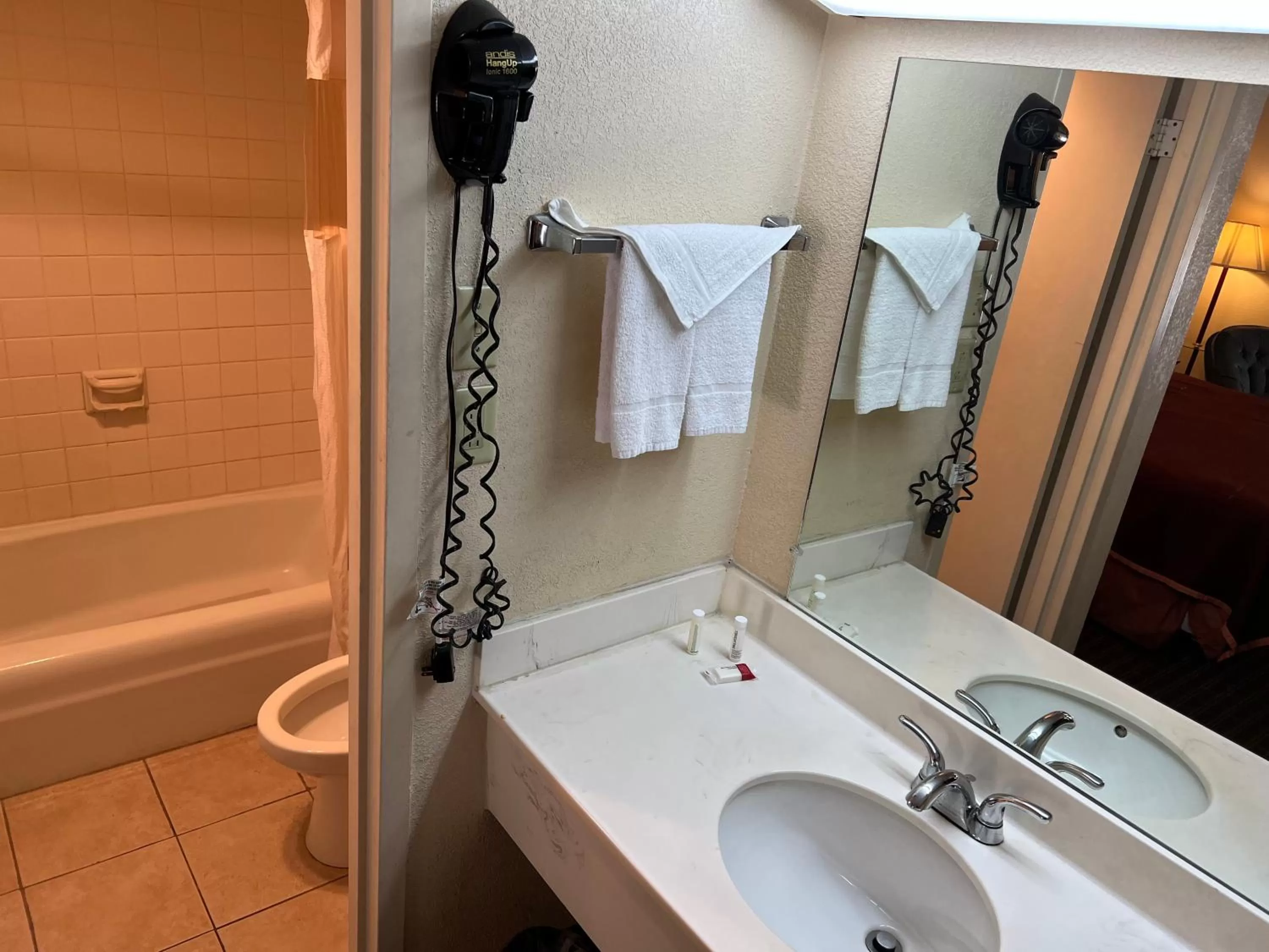 Standard King Room - Non Smoking in Rodeway Inn Cleveland TN I-75