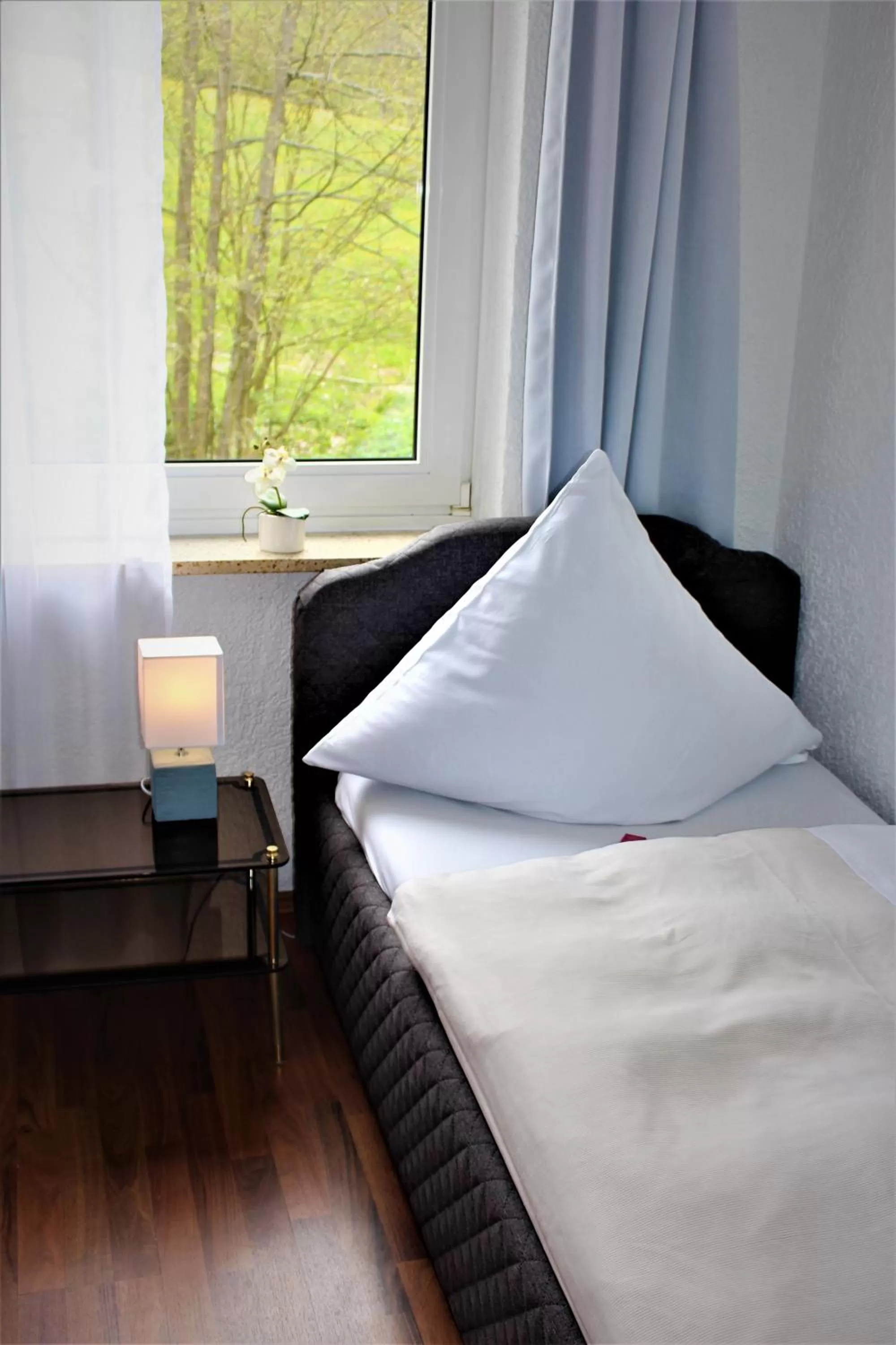 Standard Single Room - single occupancy in Genussgasthof Fuldaquelle & Berghof Wasserkuppe