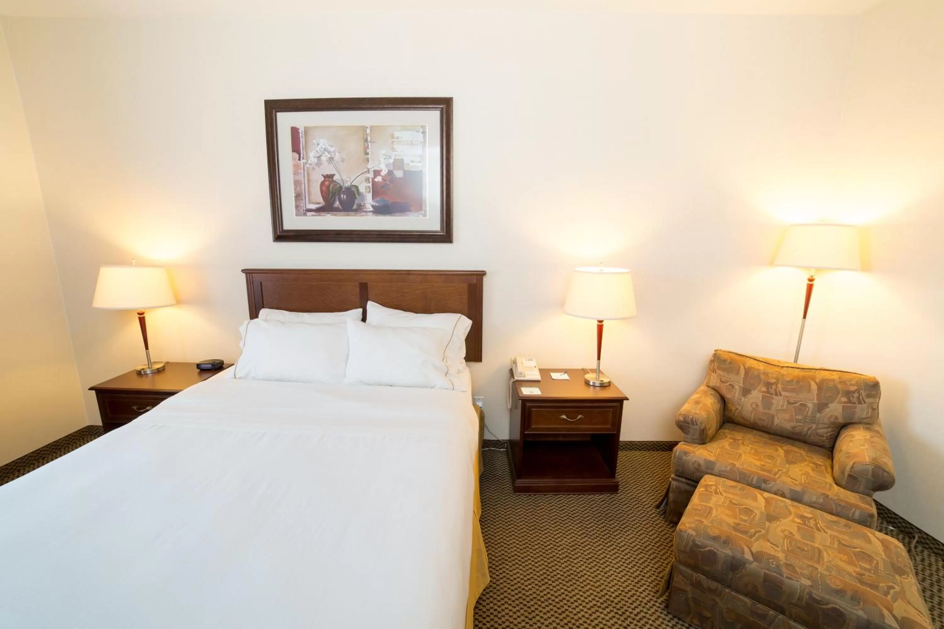 Standard Queen Room - Disability Access in Holiday Inn Express & Suites Drayton Valley by IHG