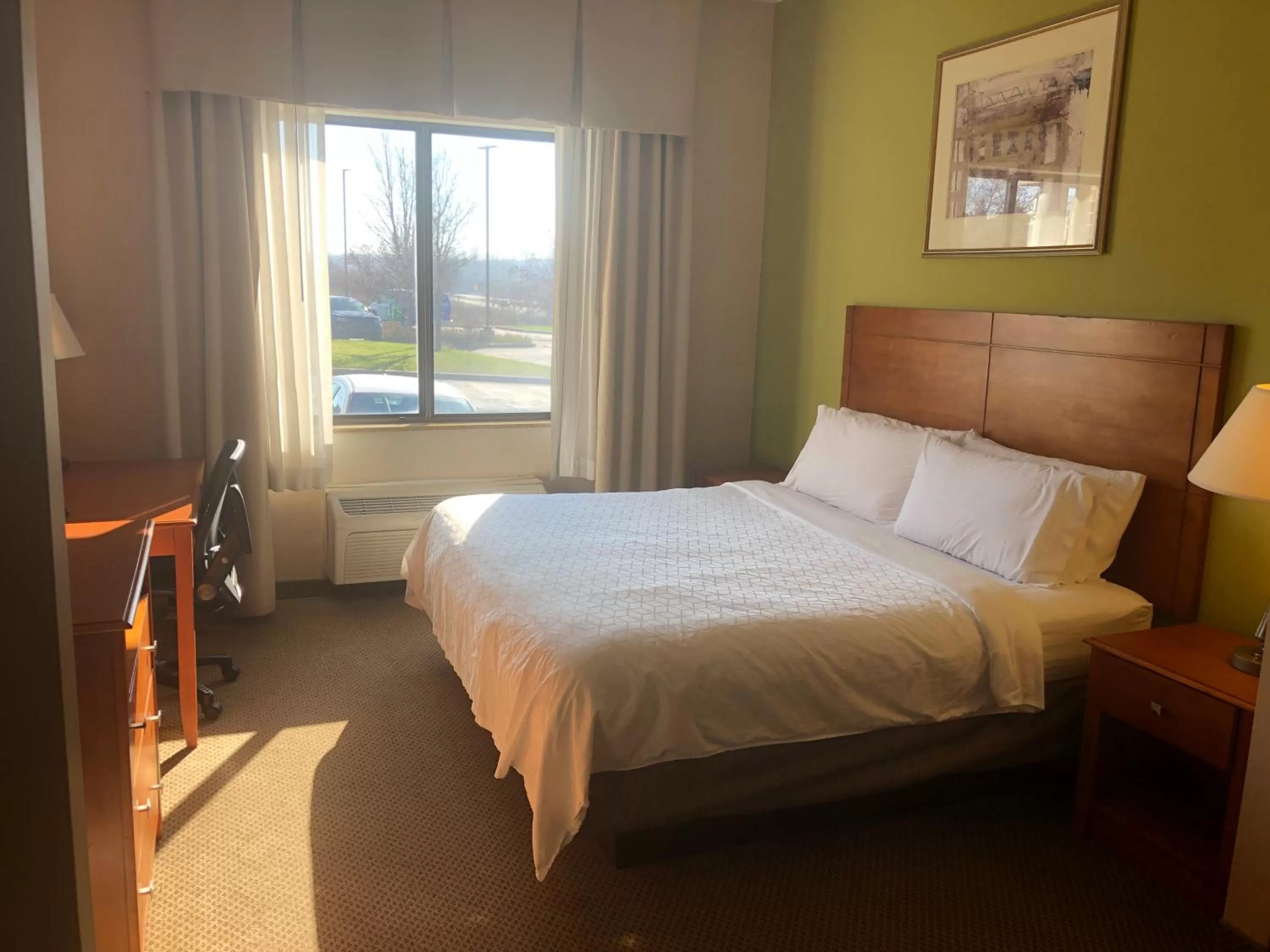 Deluxe Suite - Hearing Accessible - Non-Smoking in Holiday Inn Express Hotel & Suites Lansing-Dimondale by IHG