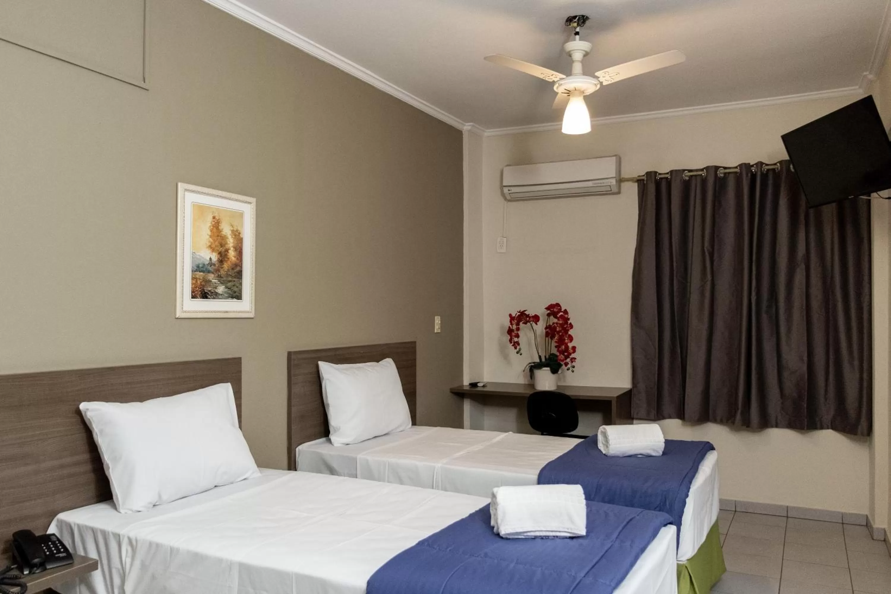 Twin Room - single occupancy in Astor Hotel