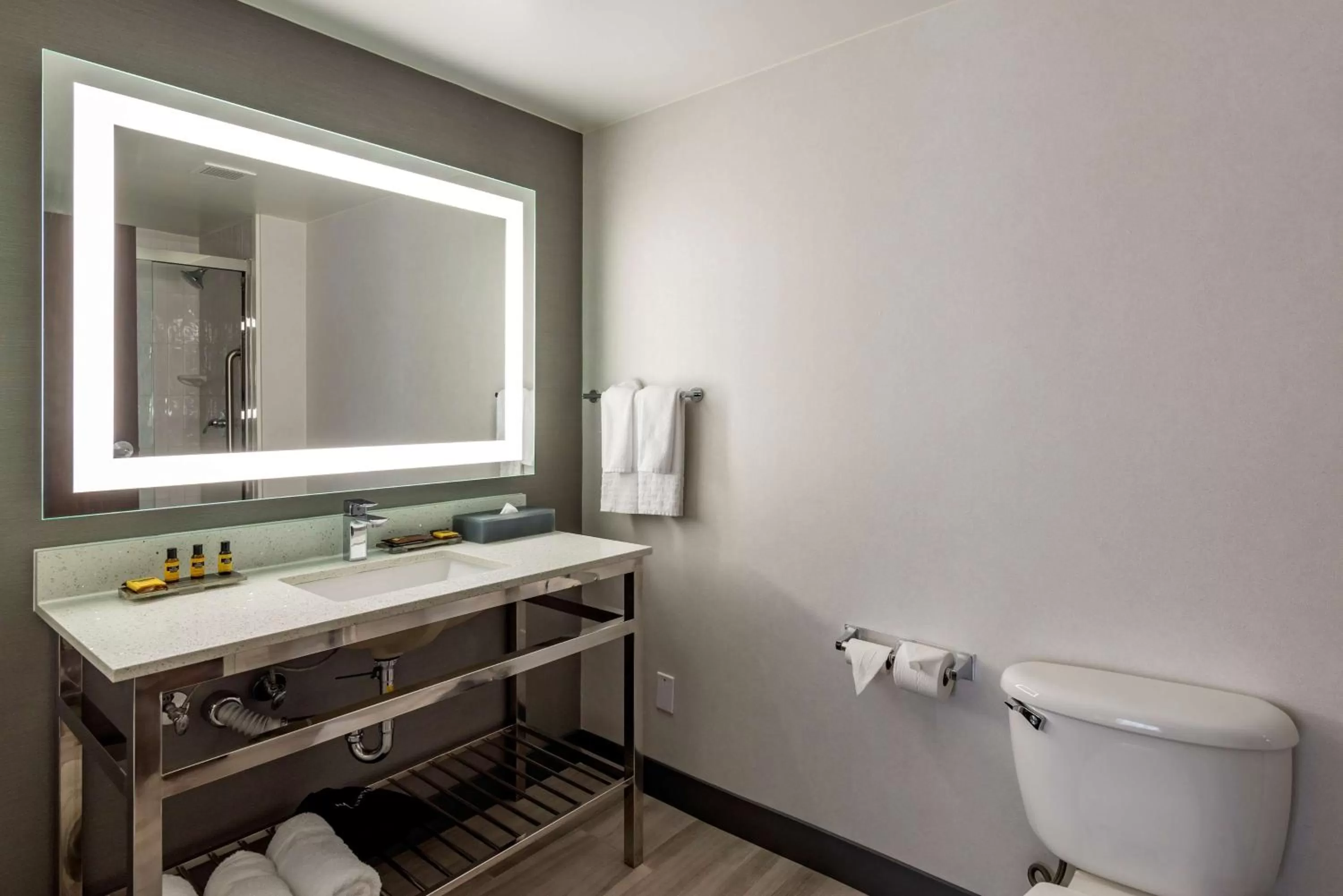 King Room with Mobility Accessible Roll-In Shower in Best Western Plus Dalton Inn