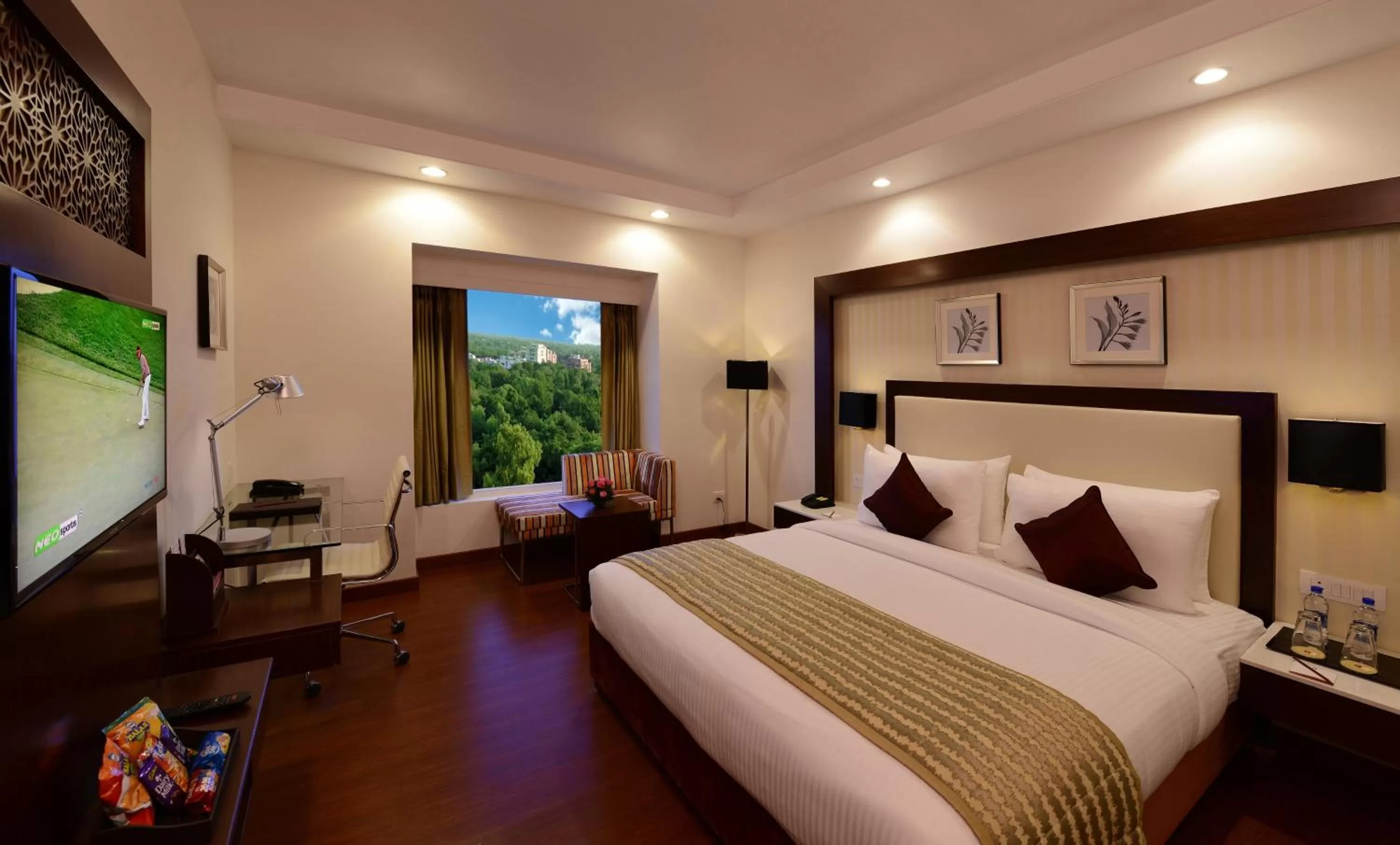 Suite - single occupancy in Lords Inn Jodhpur