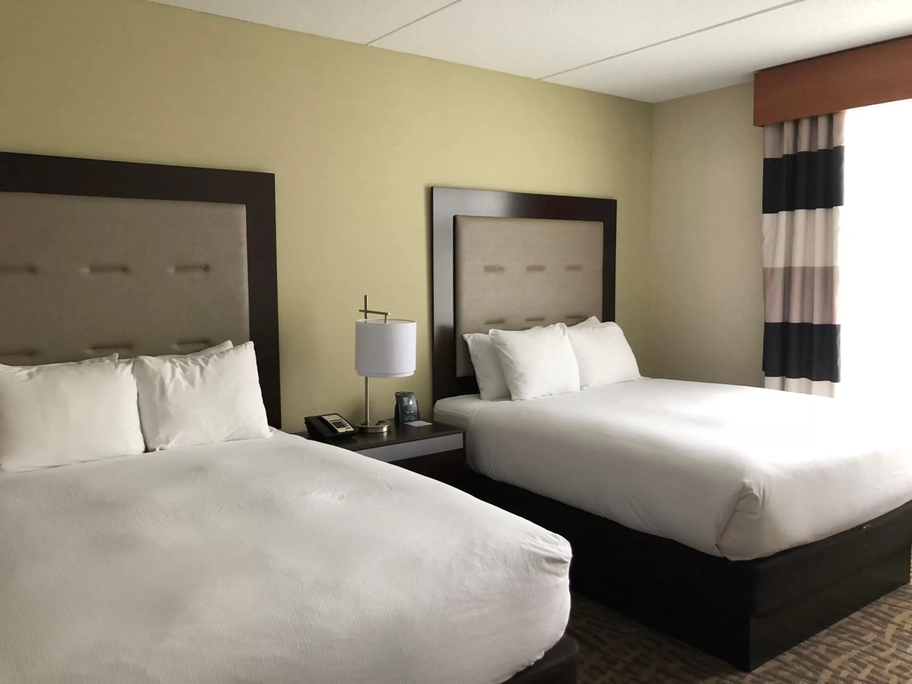 Queen Suite with Two Queen Beds - Non-Smoking in Wyndham Garden Buffalo Downtown