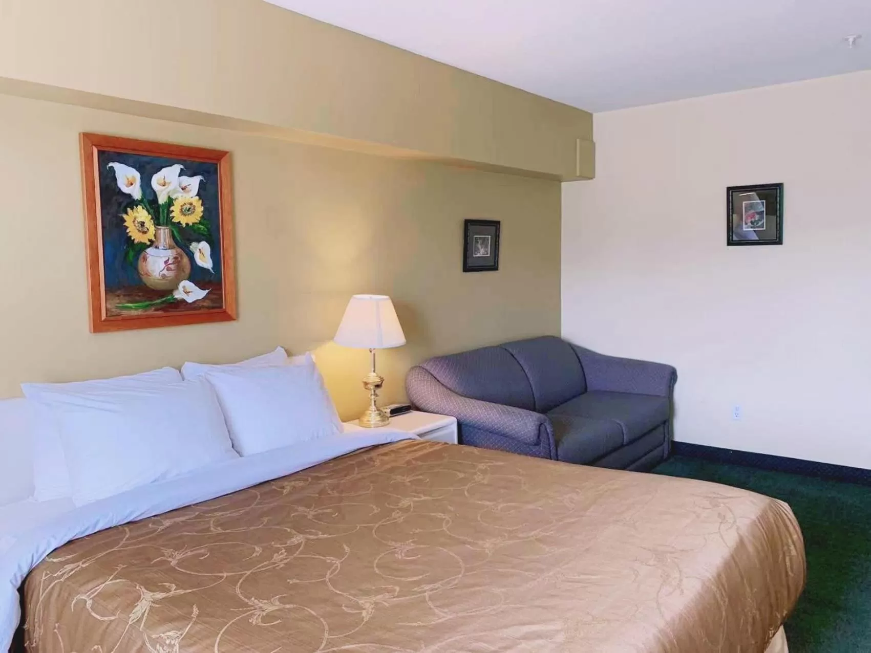 Standard Queen Room in MountainView Hotel Merritt