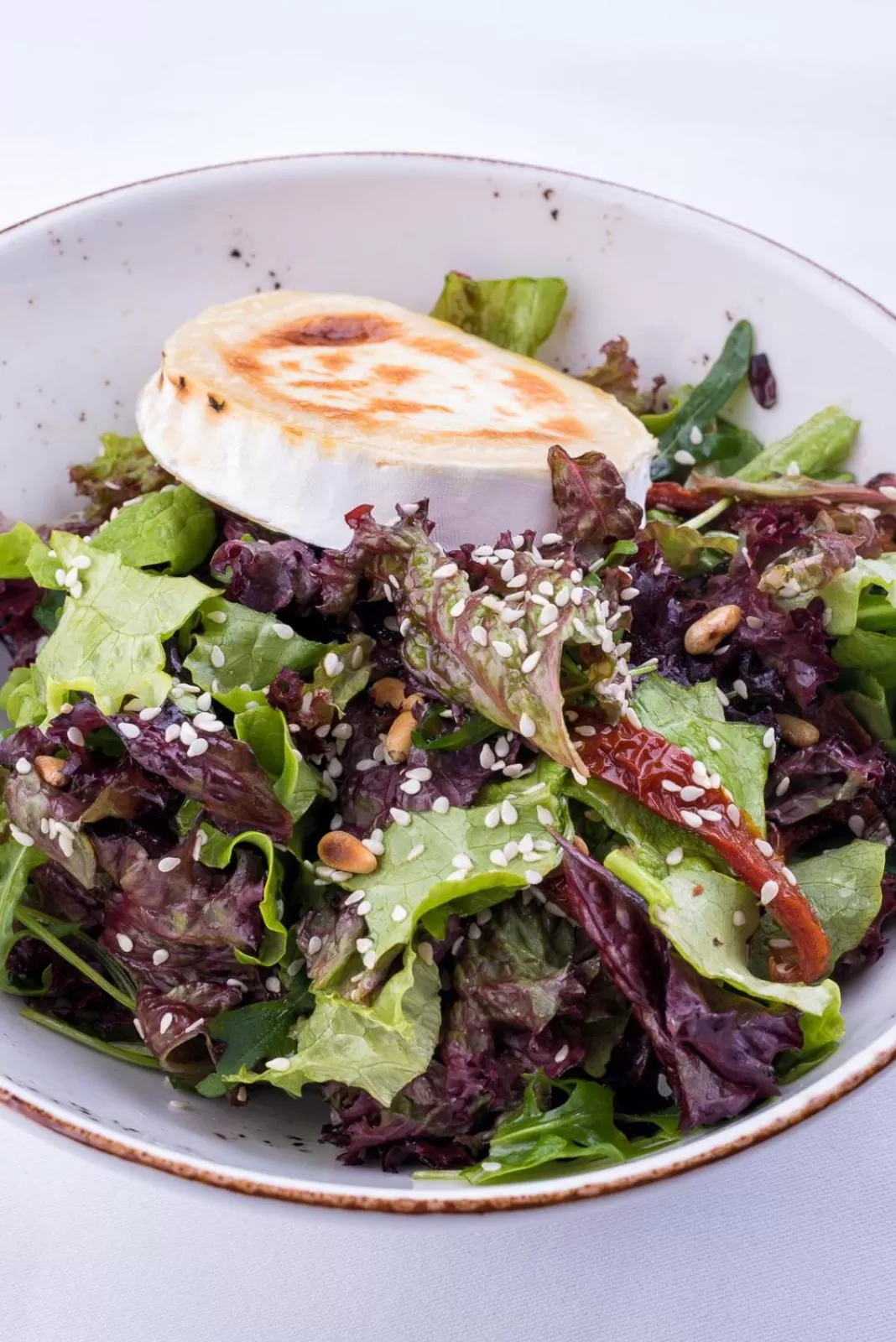 Restaurant/places to eat in Hotel VEGA Sofia mini bar complimentary for all guests staying between 15 Jan - 15 Feb 2026